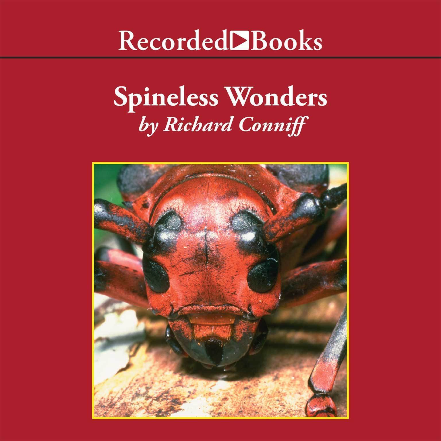 Spineless Wonders