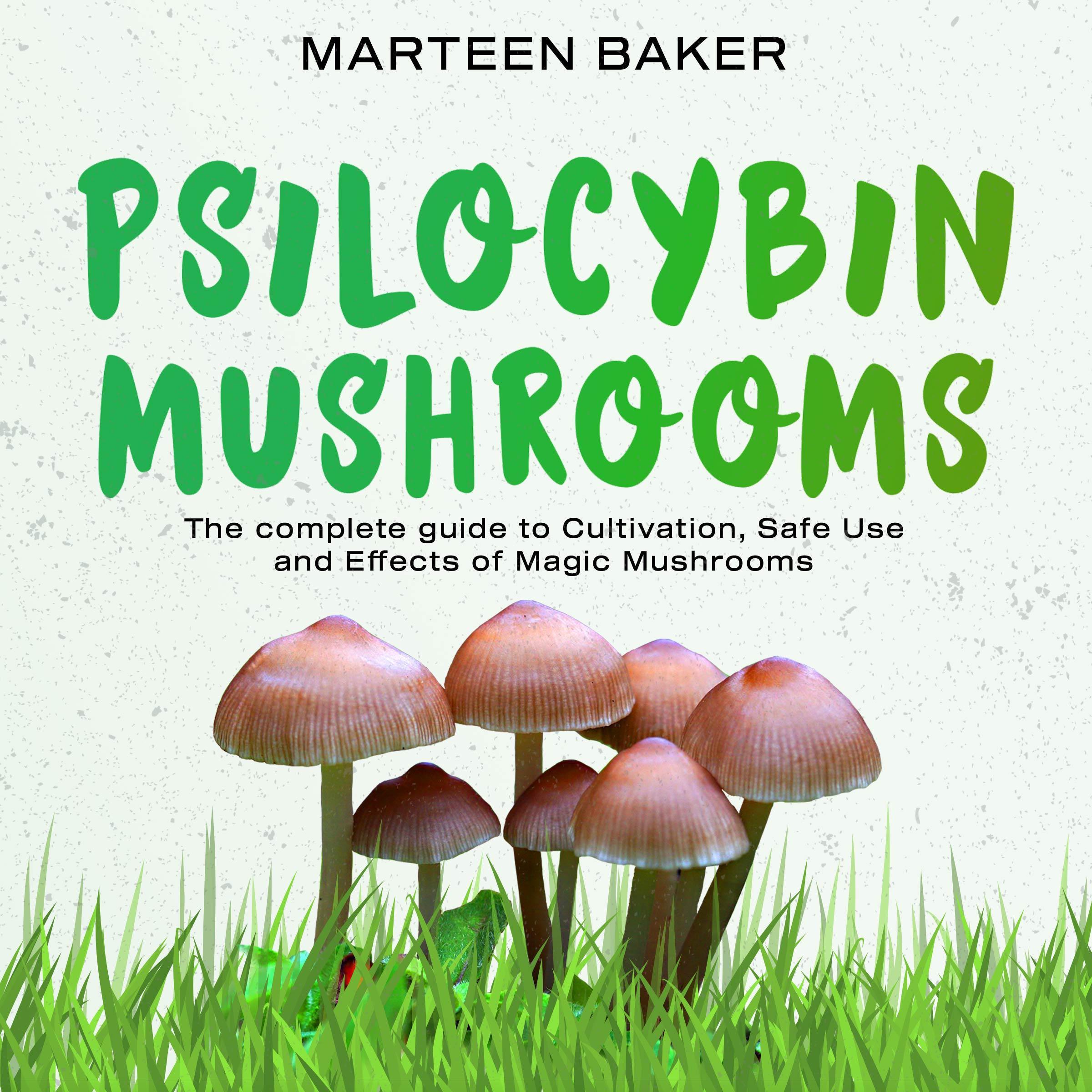 Psilocybin Mushrooms