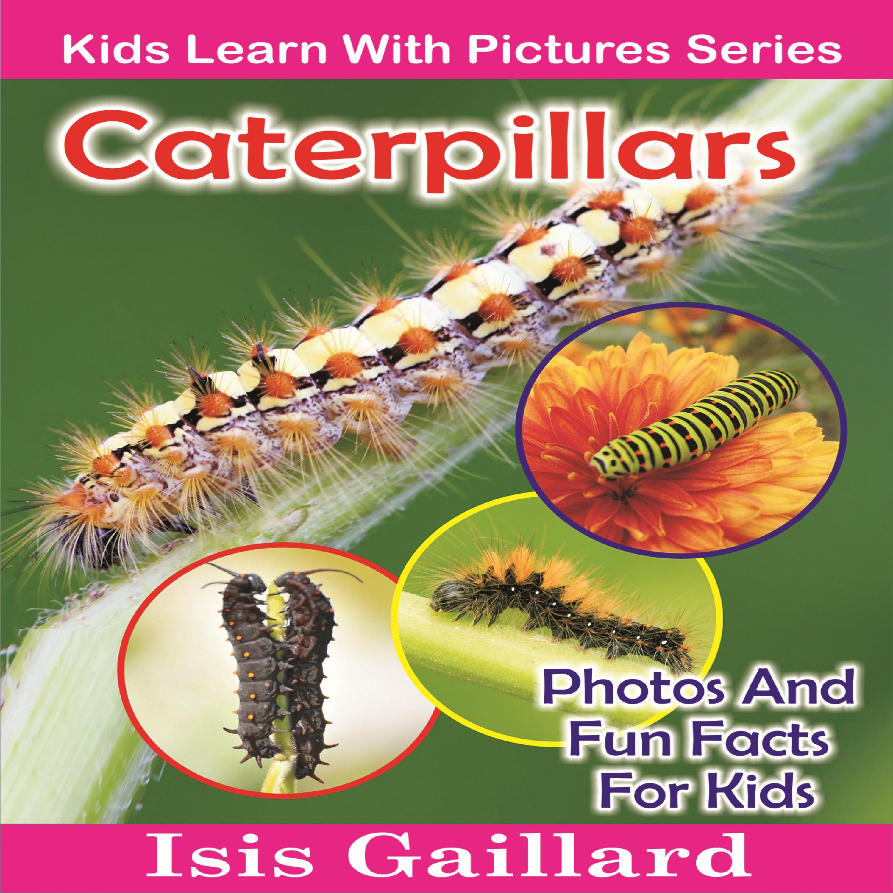 Caterpillars