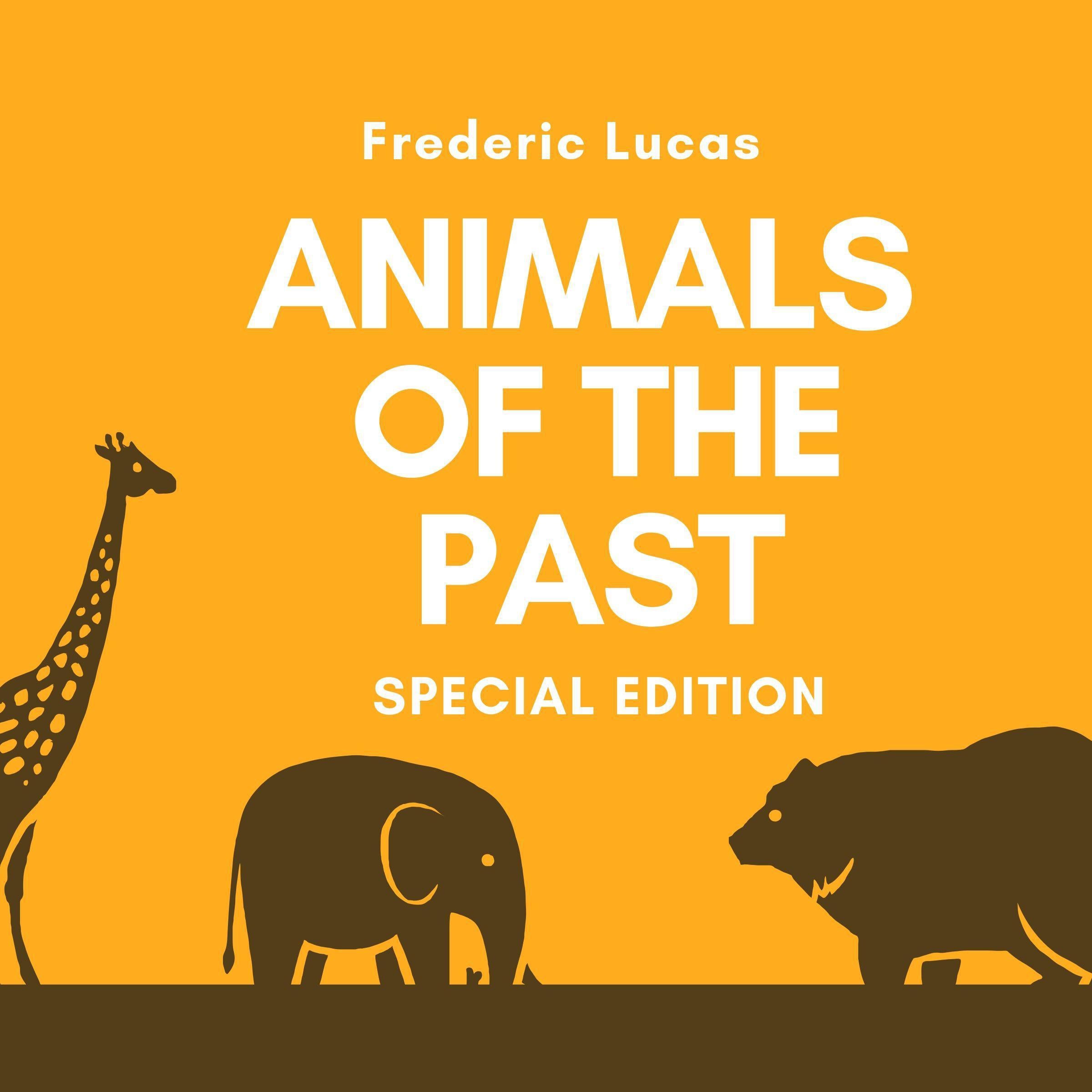 Animals of the Past