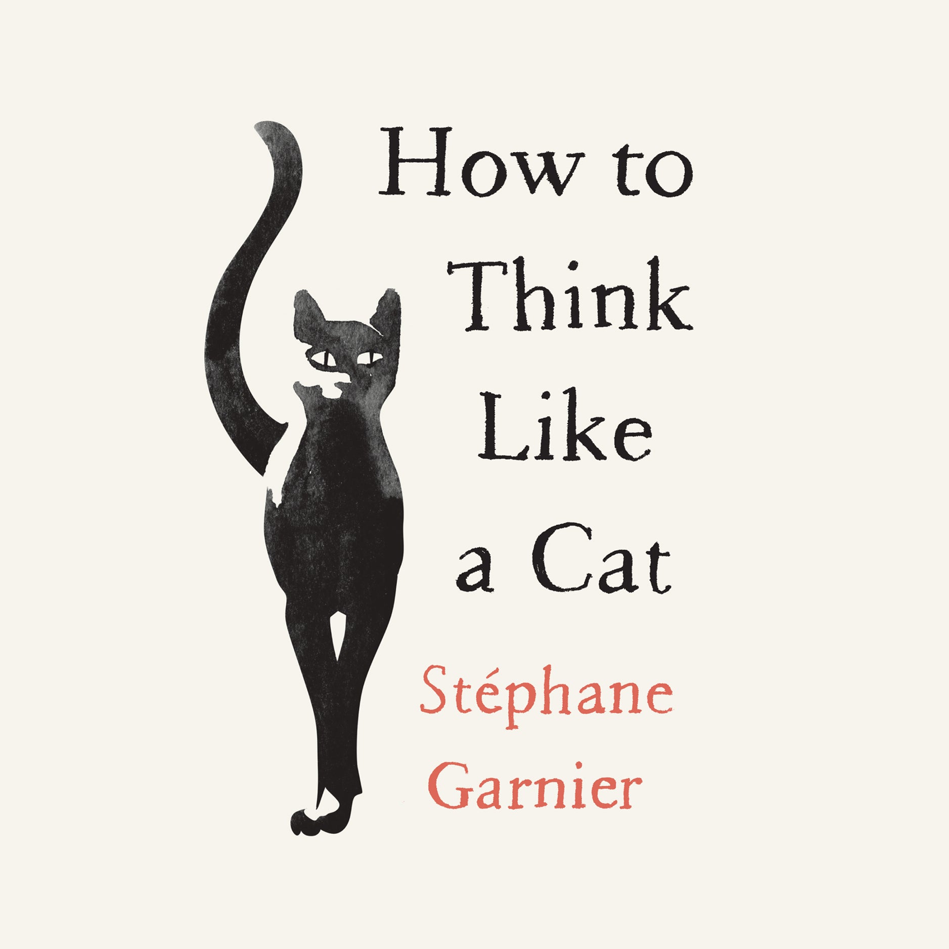 How to Think Like a Cat