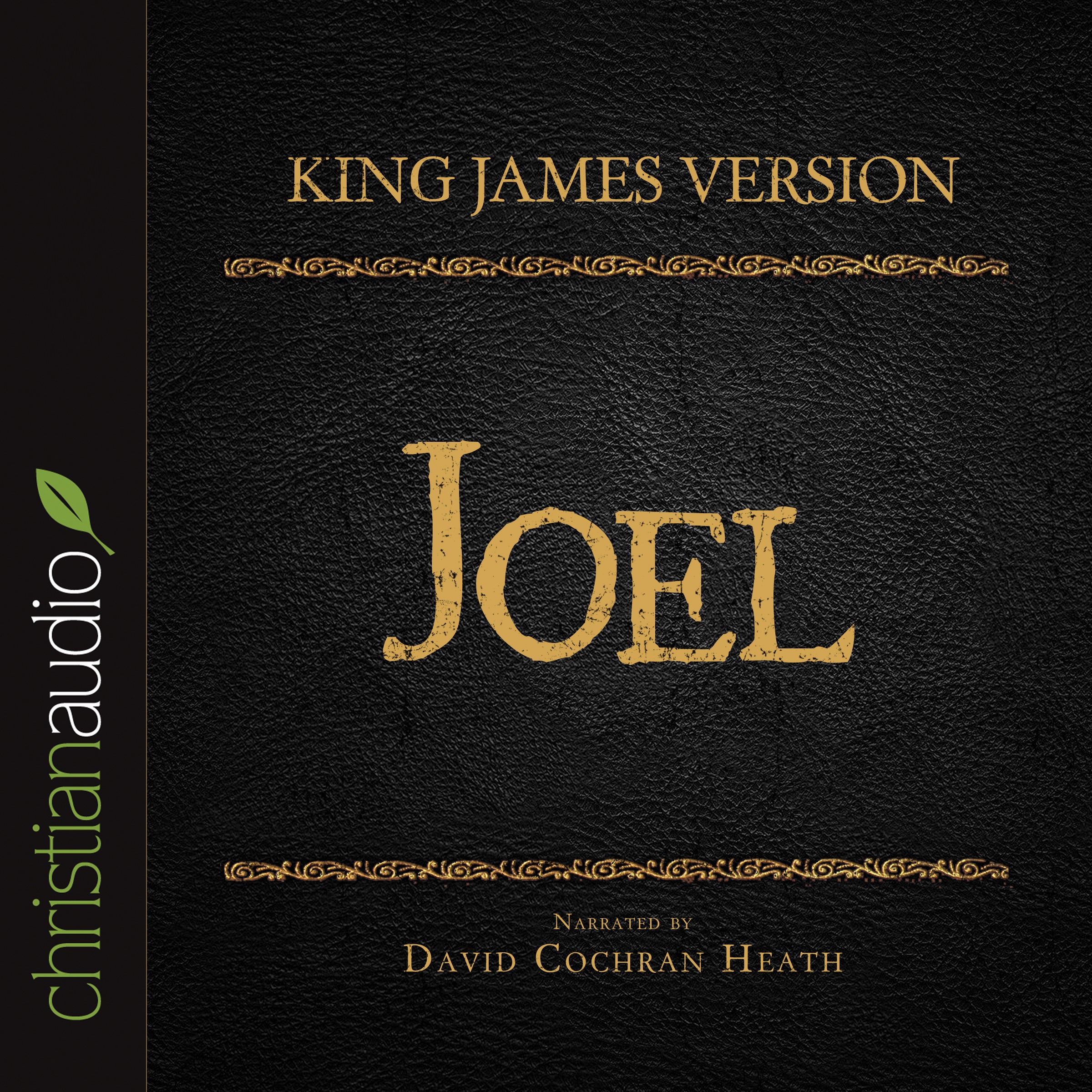 Holy Bible in Audio - King James Version: Joel