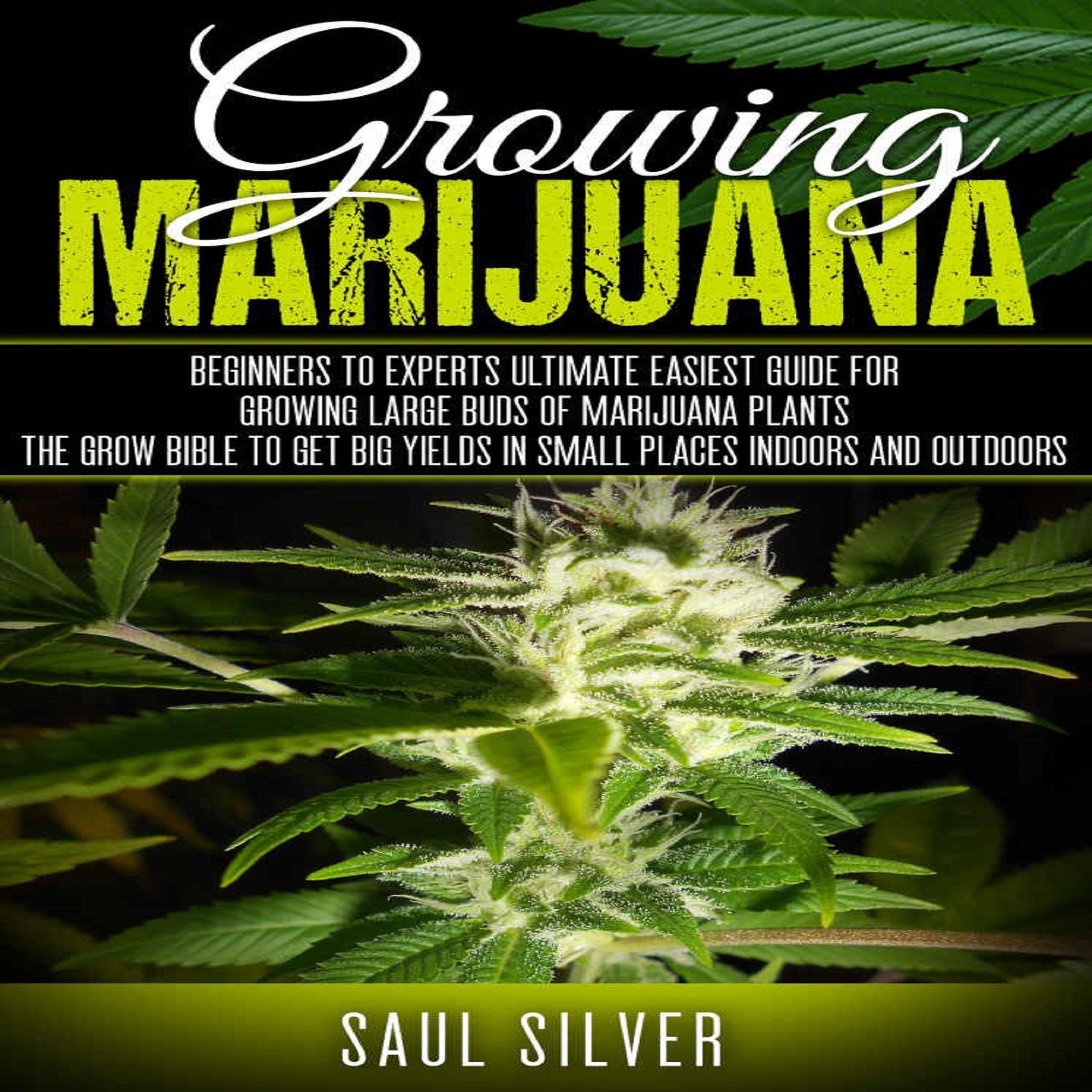 Marijuana : Growing Marijuana
