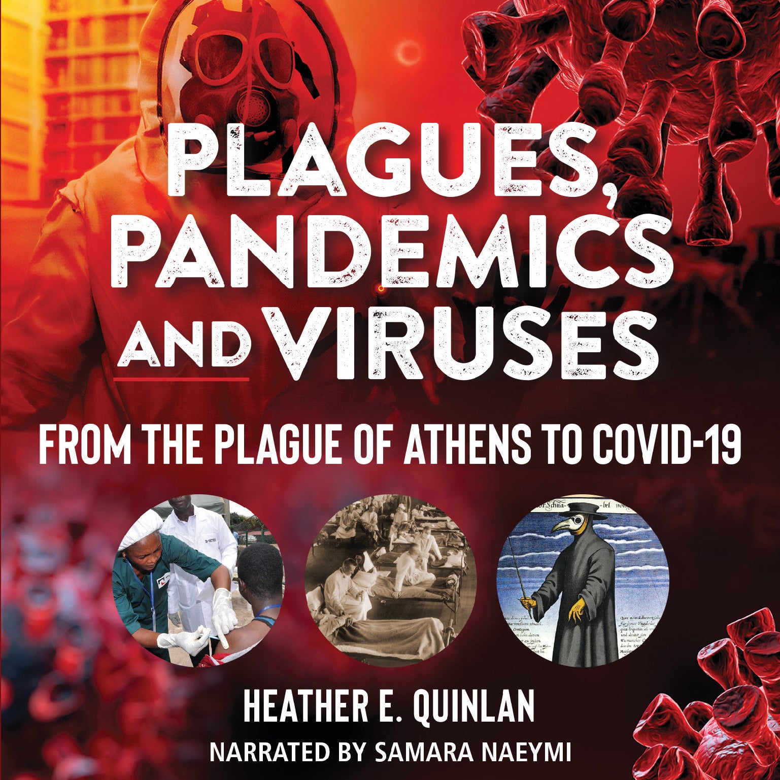 Plagues, Pandemics and Viruses