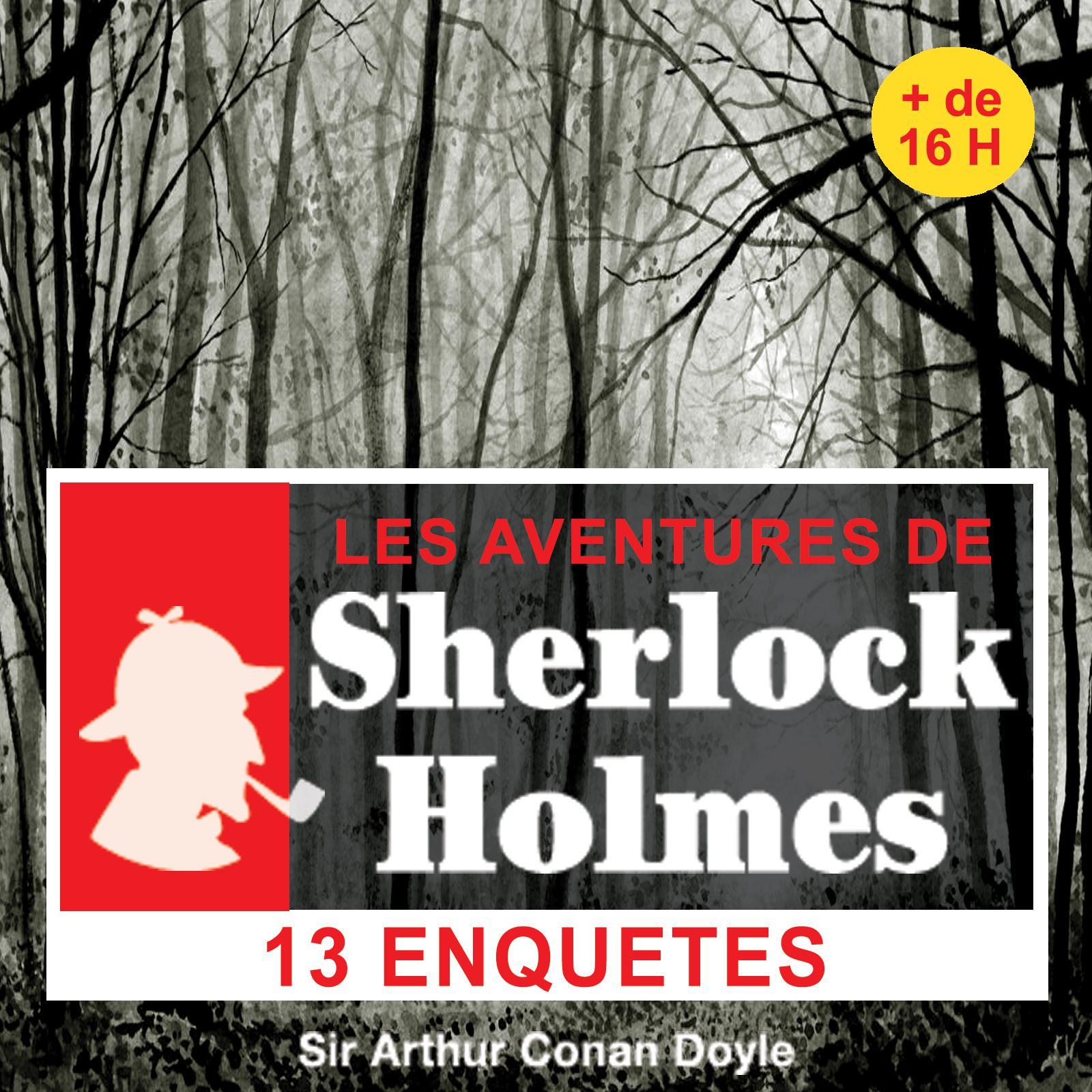 14 enquêtes de Sherlock Holmes