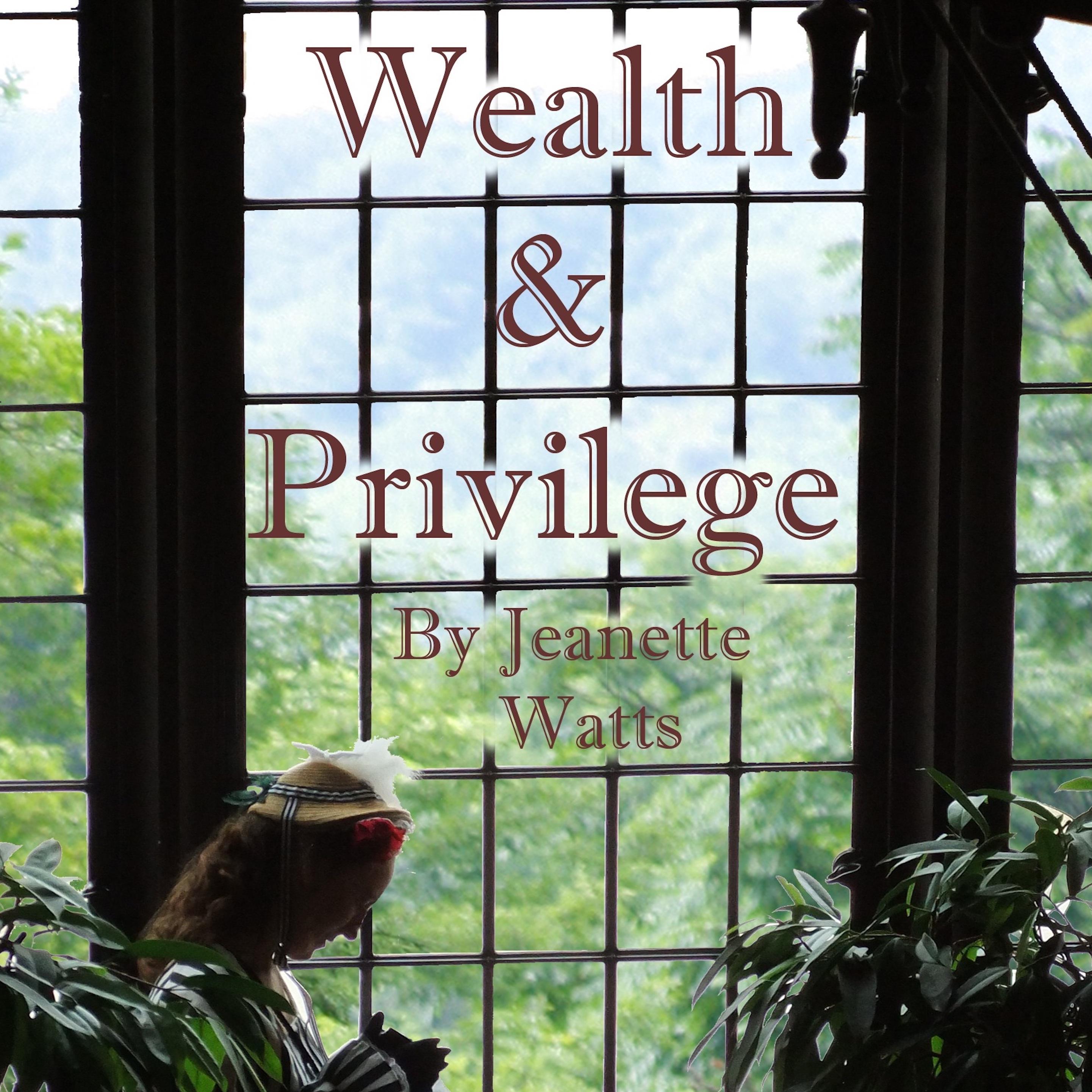 Wealth and Privilege