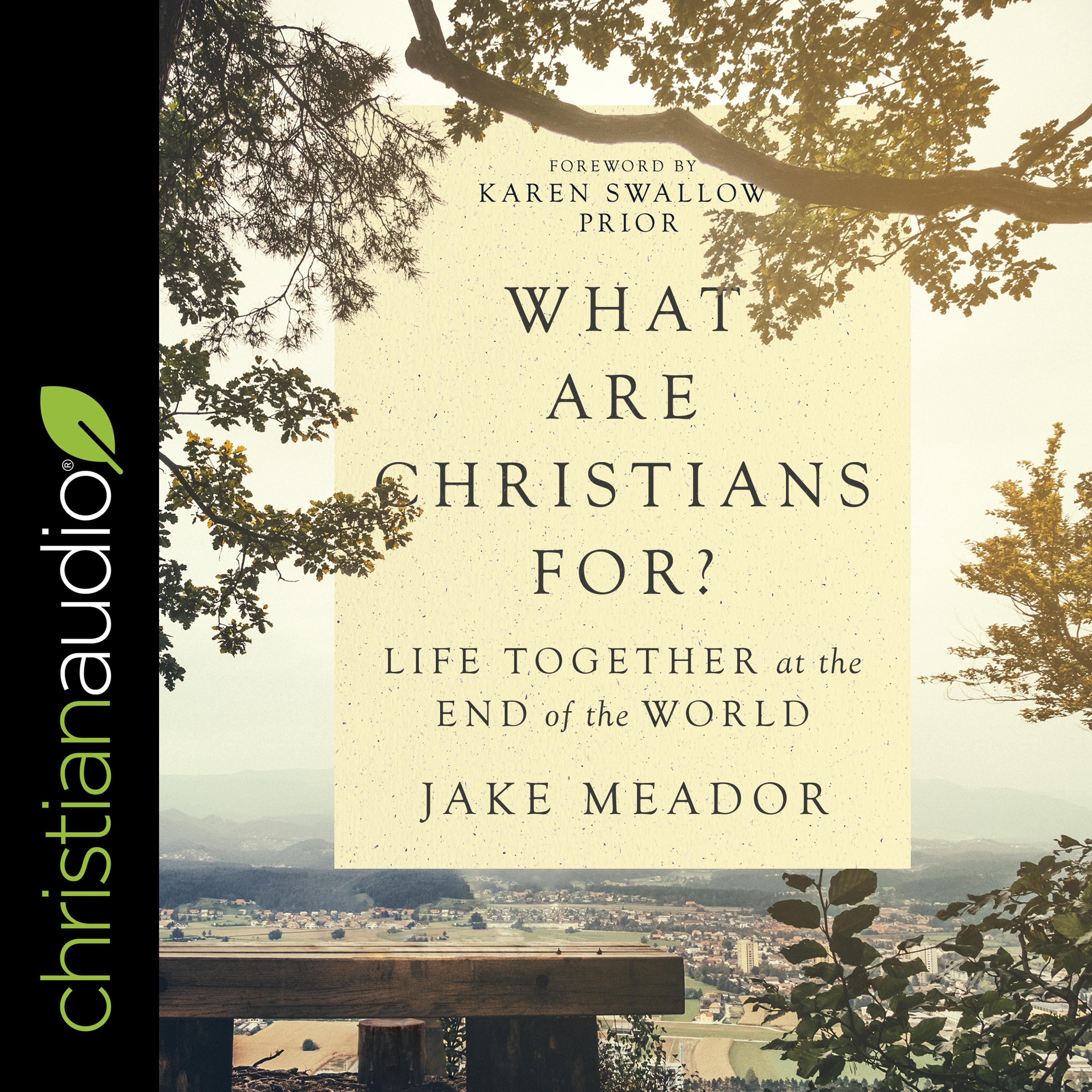 What Are Christians For?