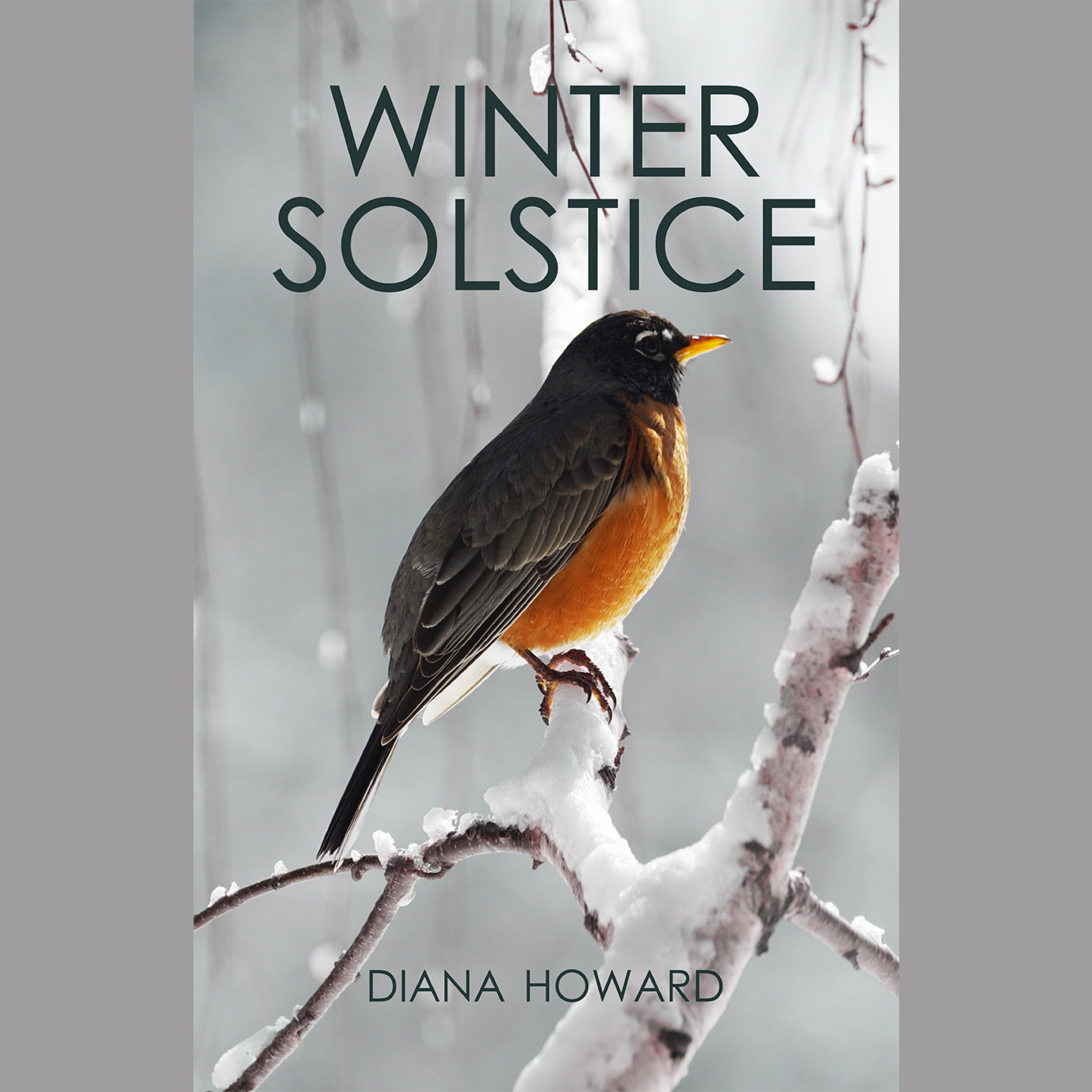 Winter Solstice