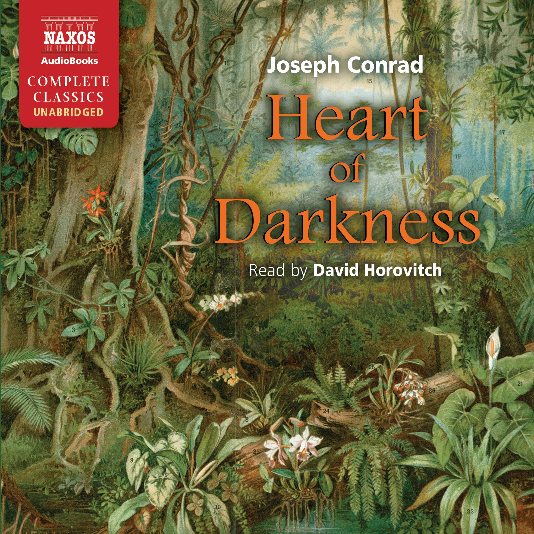 Heart of Darkness