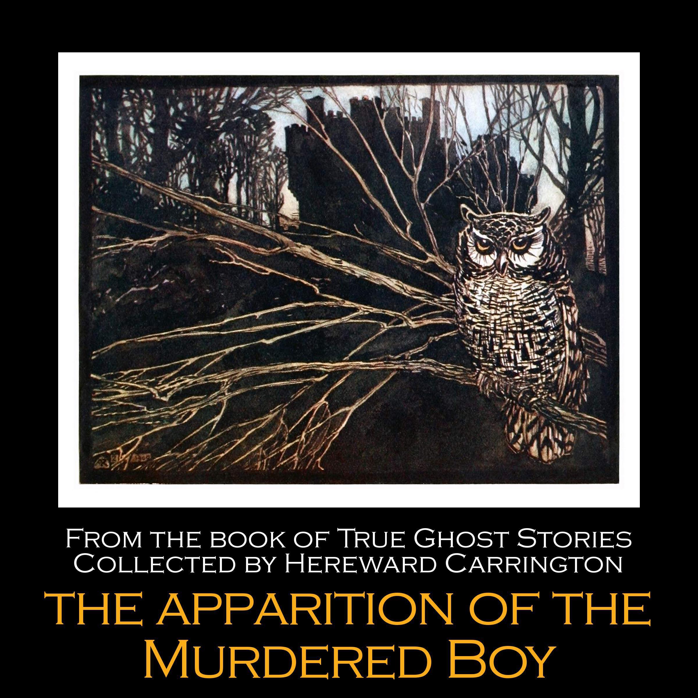The Apparition of the Murdered Boy