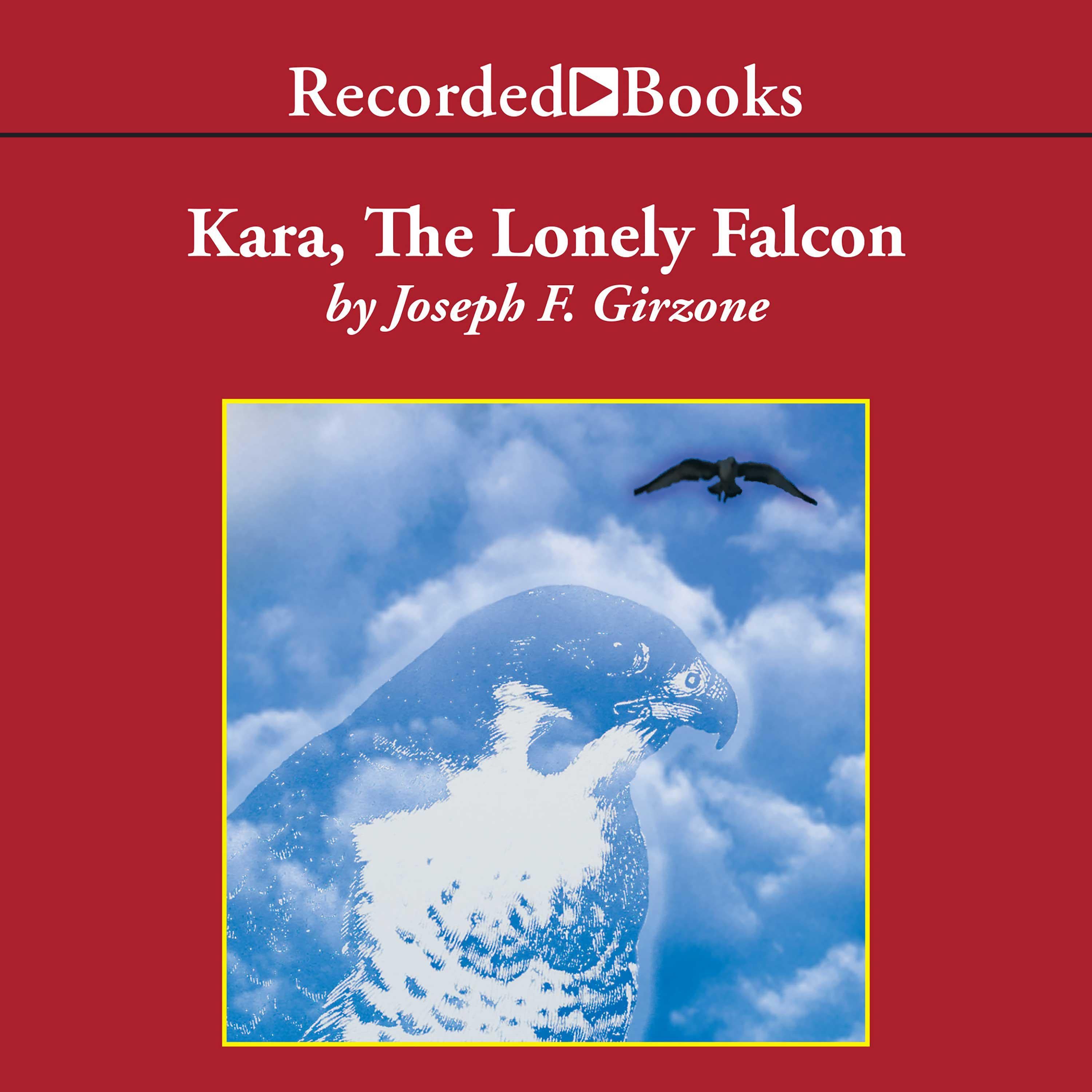 Kara, the Lonely Falcon