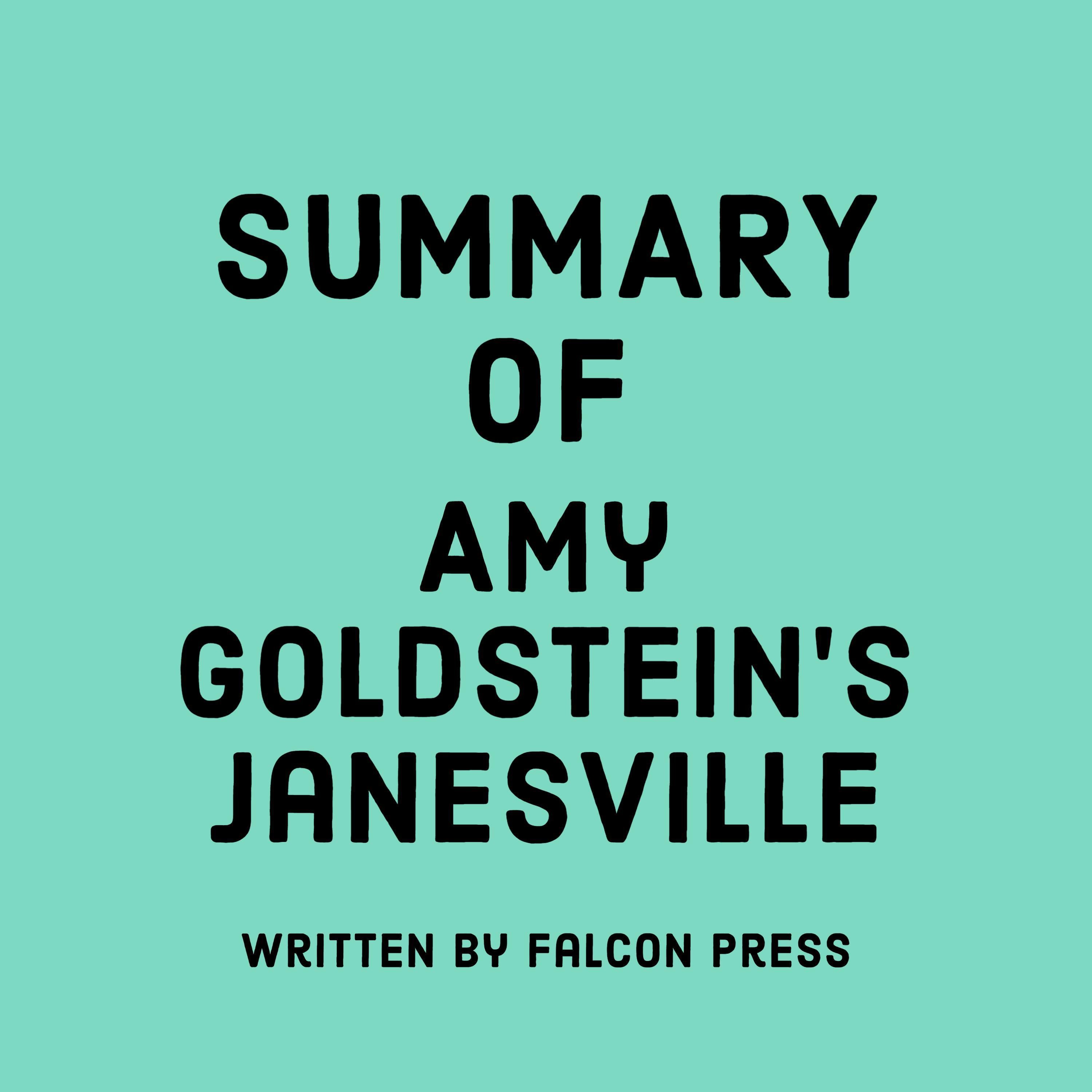 Summary of Amy Goldstein's Janesville