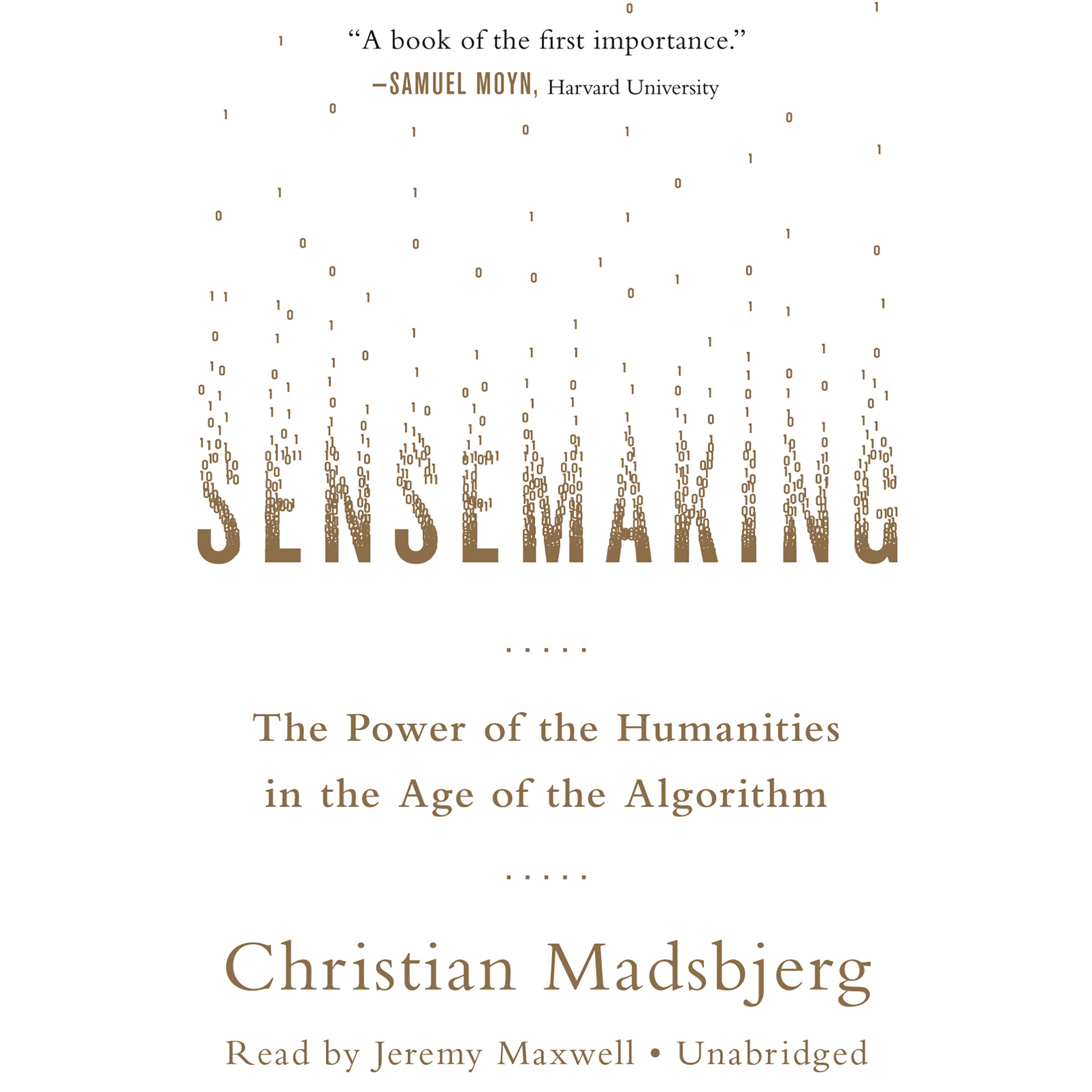 Sensemaking