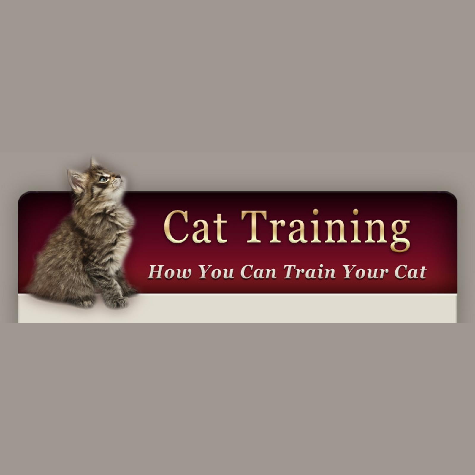 How to Train Your Cat