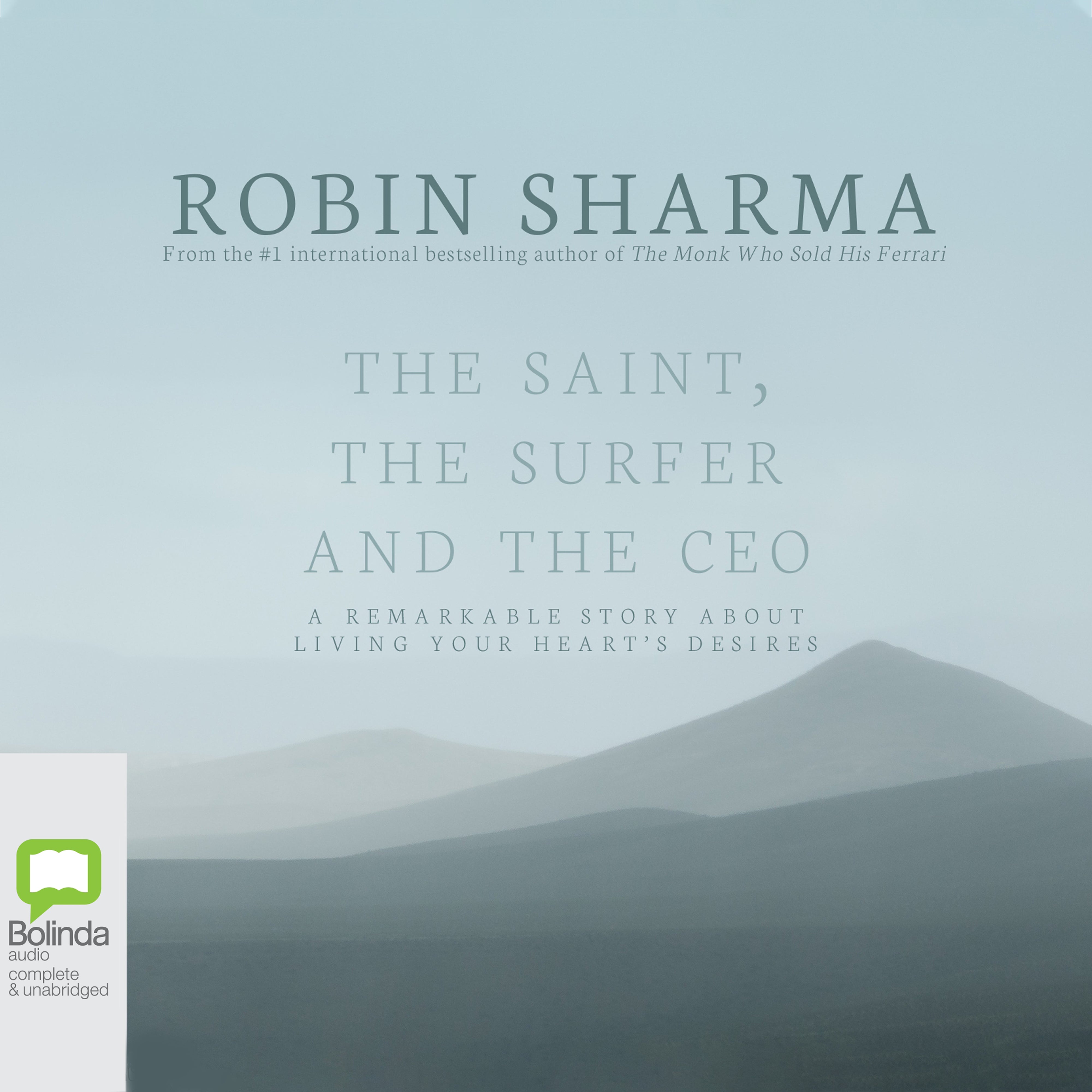 The Saint, the Surfer and the CEO