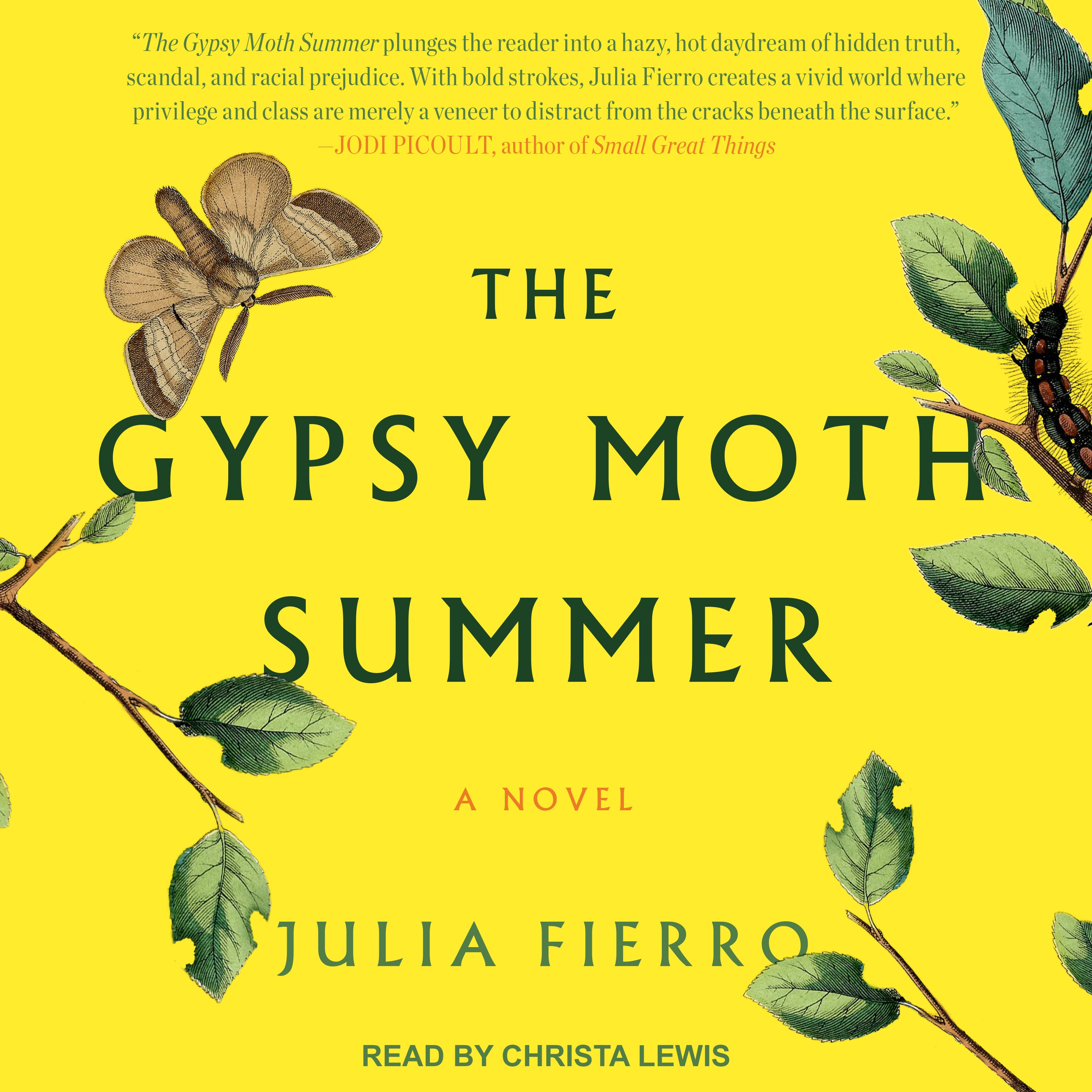 The Gypsy Moth Summer