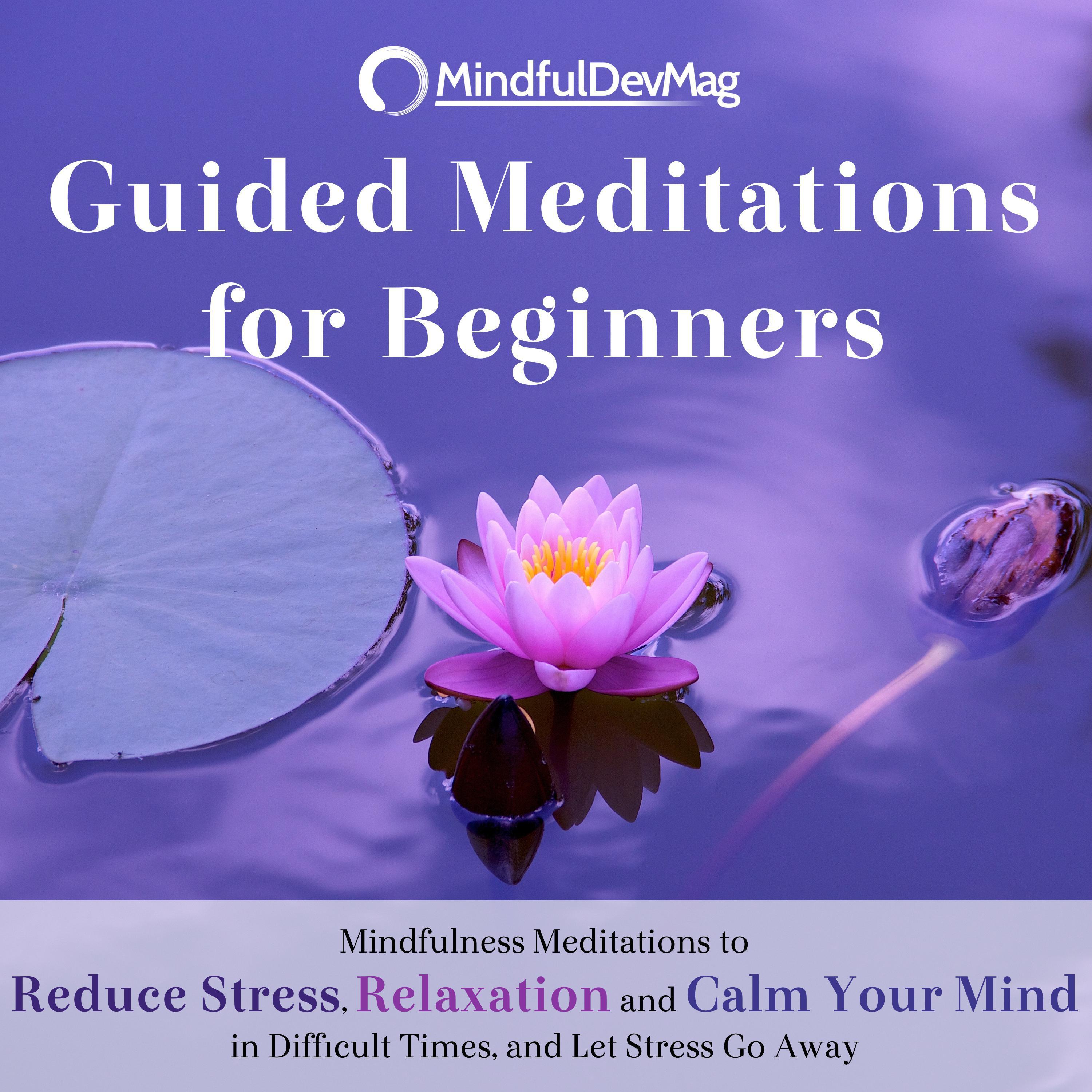 Guided Meditations for Beginners