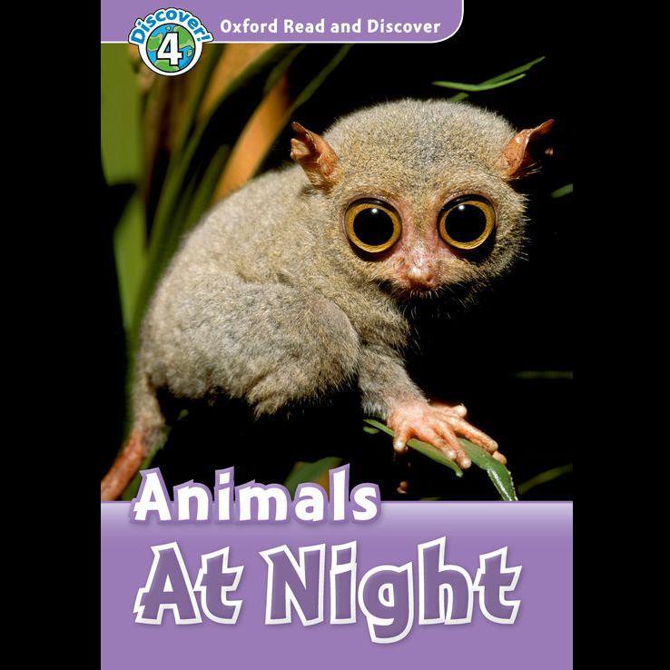 Animals at Night