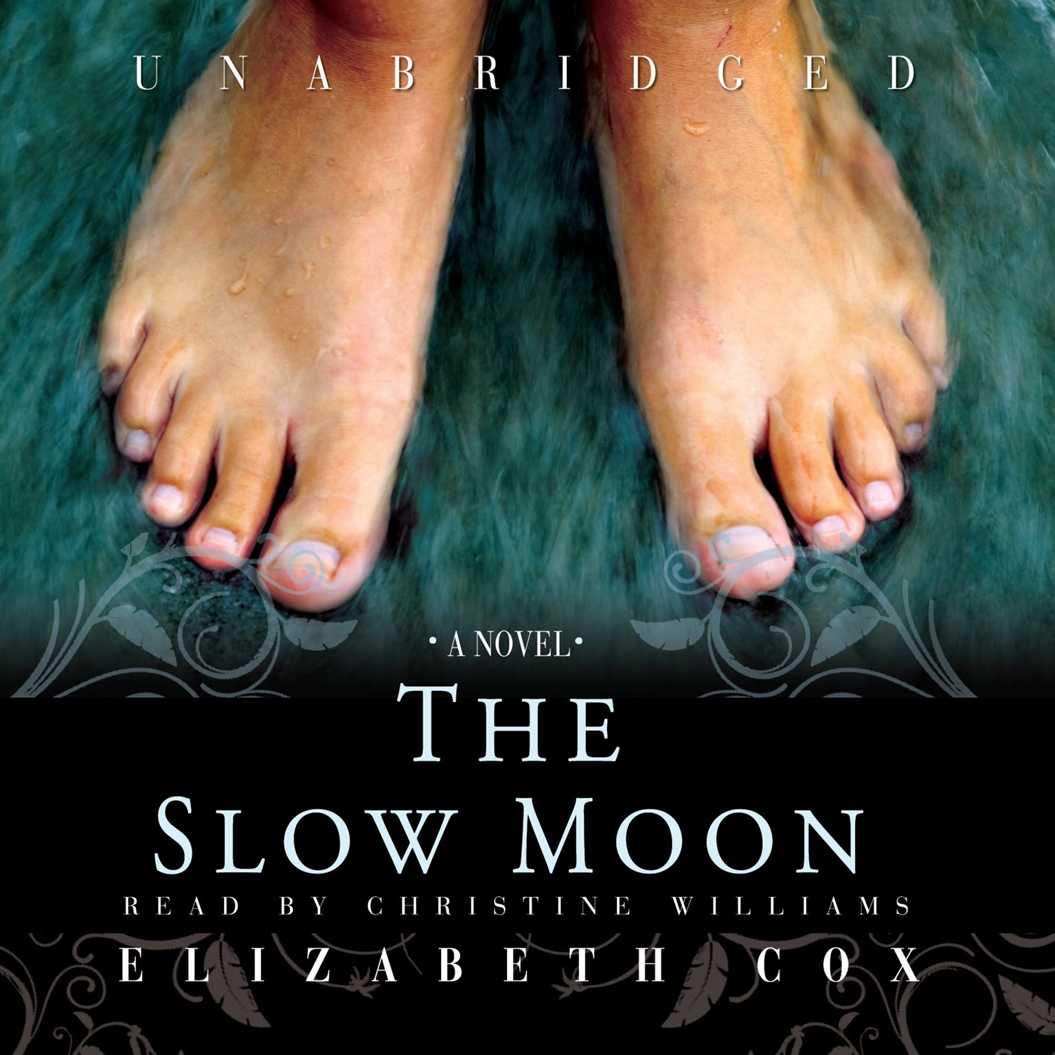 The Slow Moon