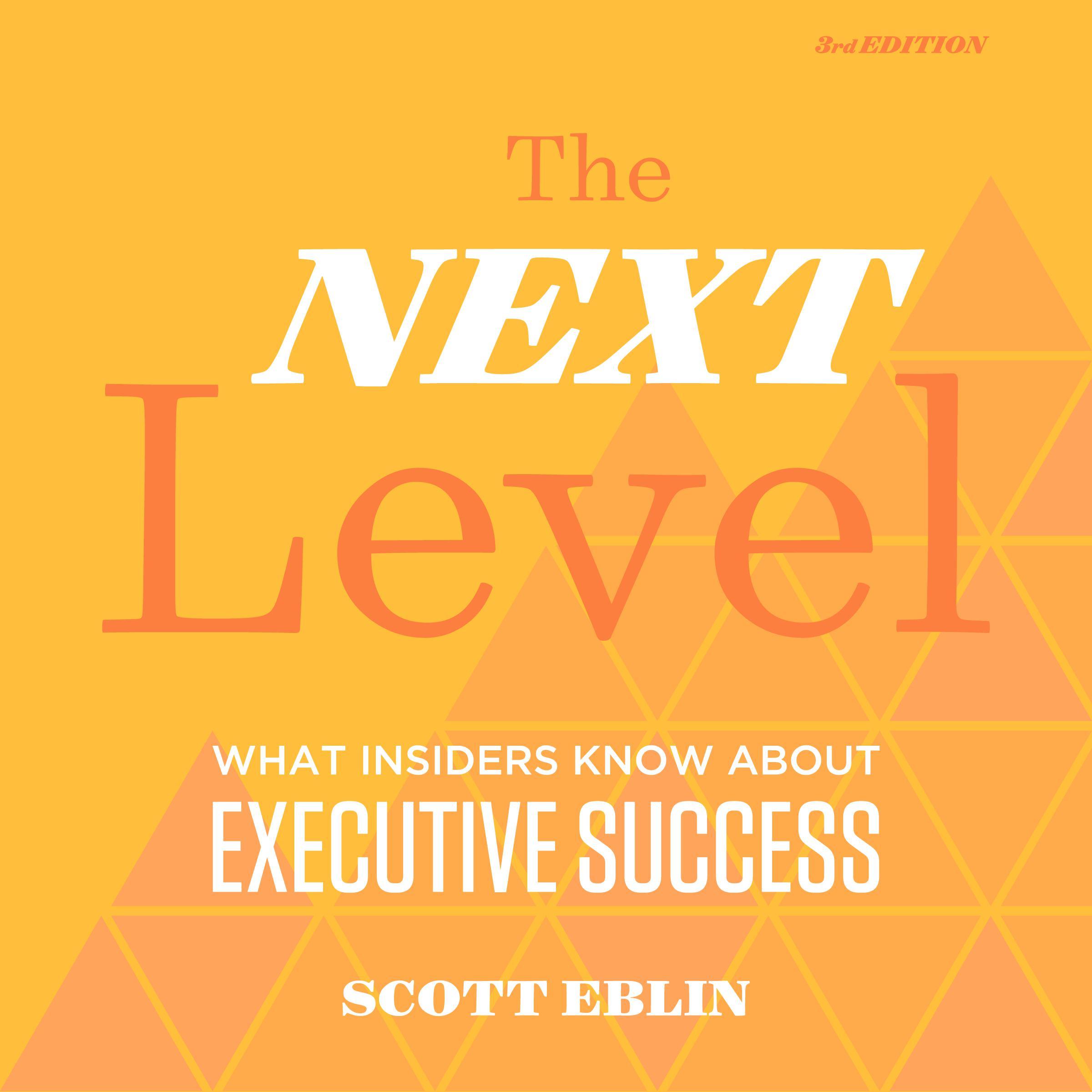 The Next Level, 3rd Edition: What Insiders Know About Executive Success