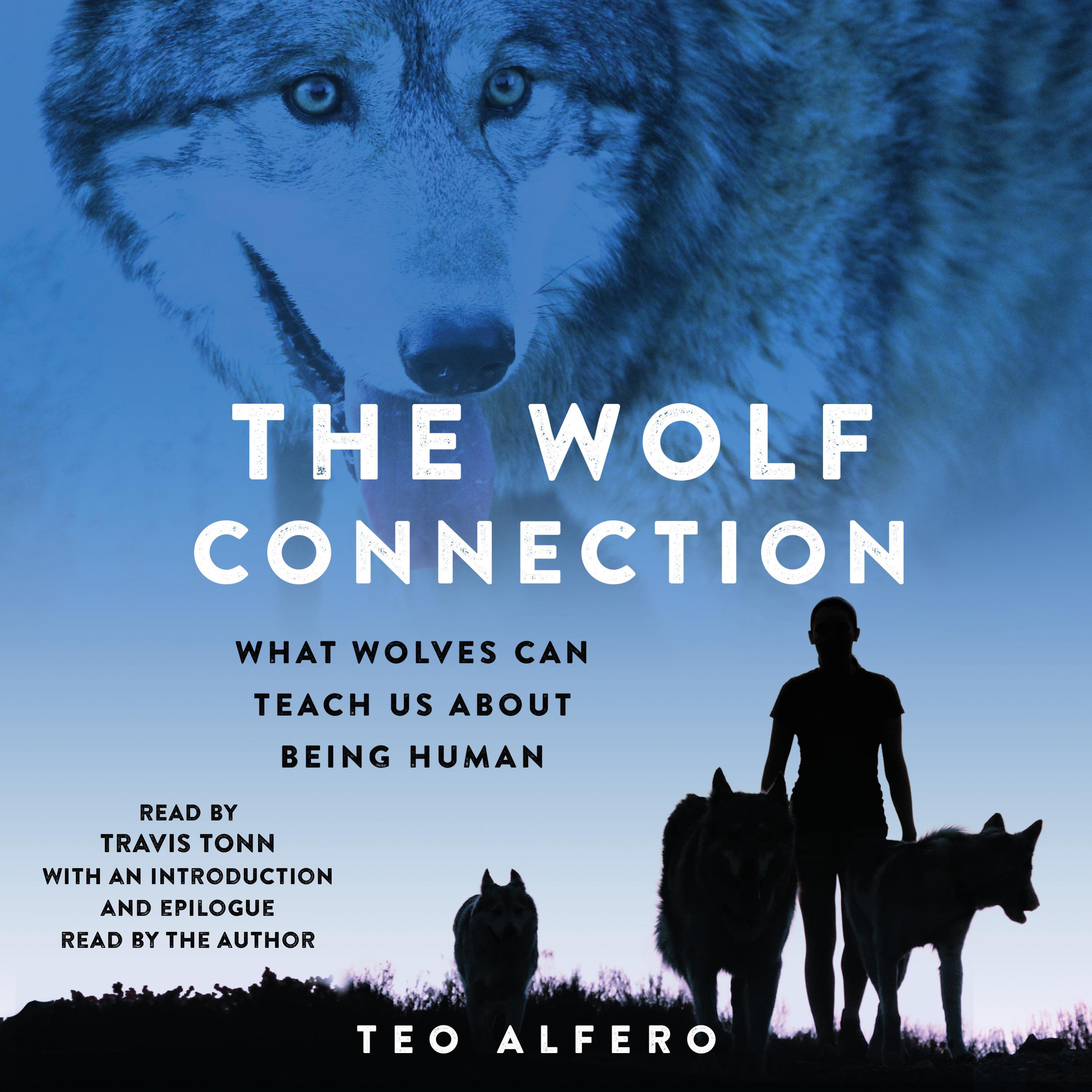 The Wolf Connection