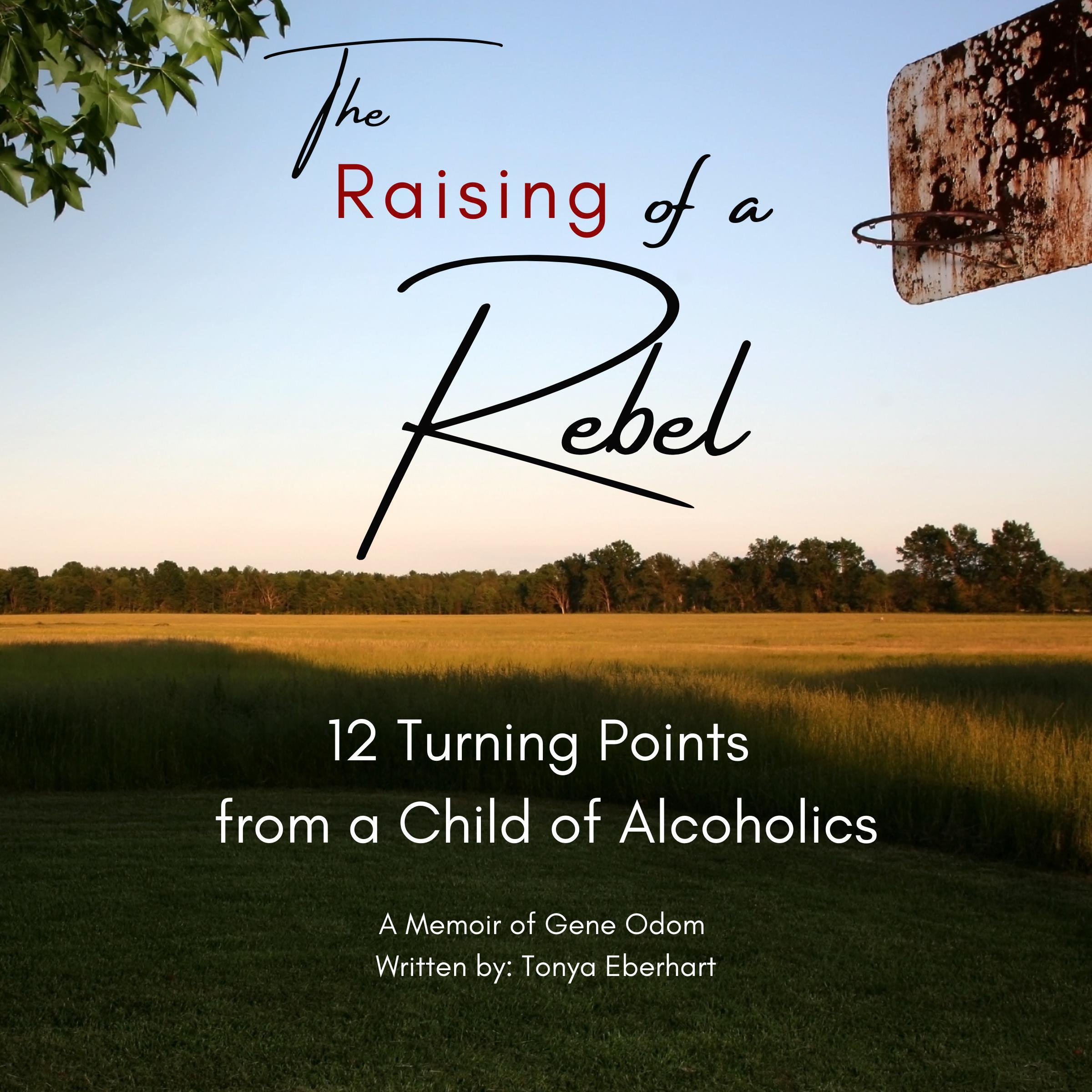 The Raising of a Rebel