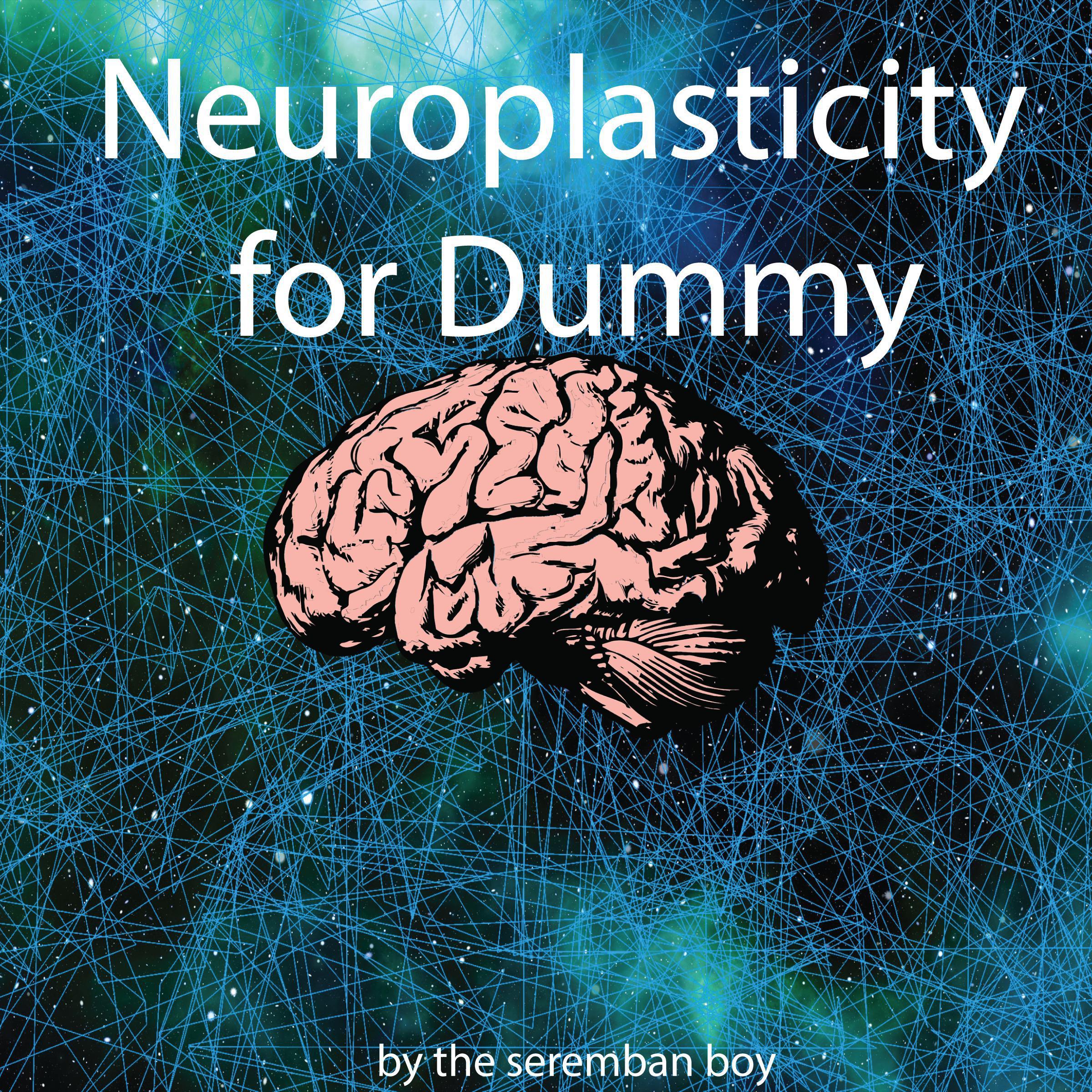 Neuroplasticity for Dummy
