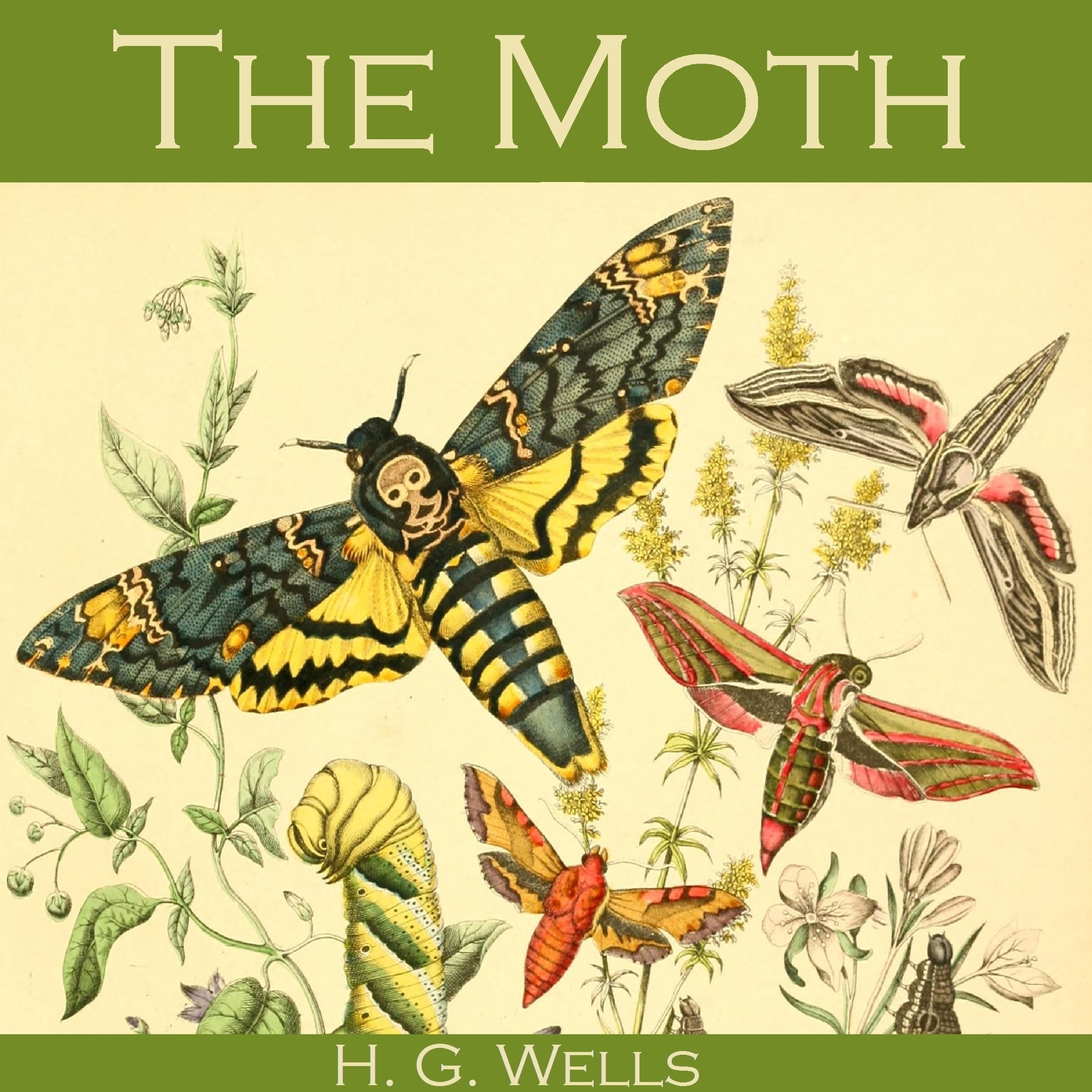 The Moth