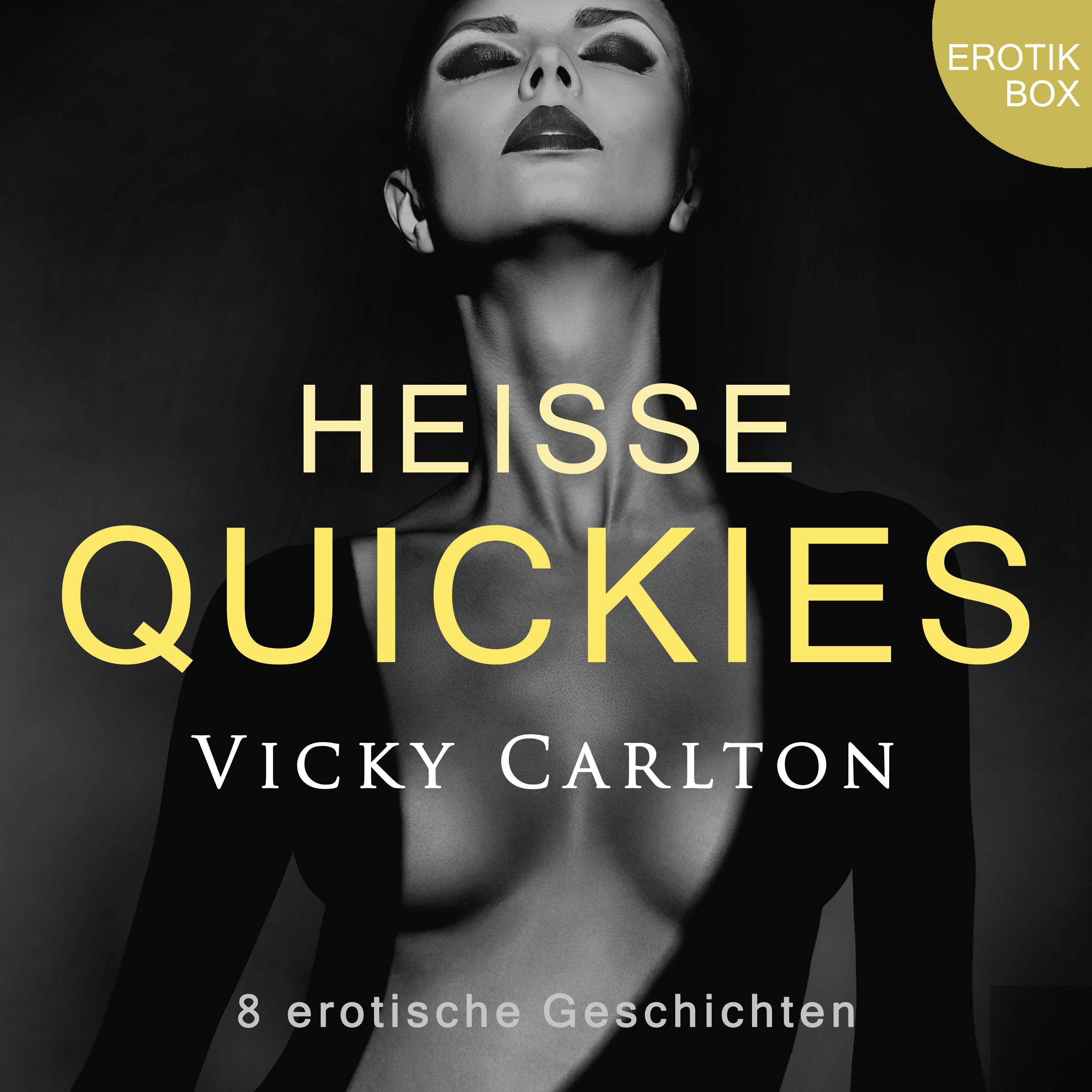 Heiße Quickies. Erotik-Box