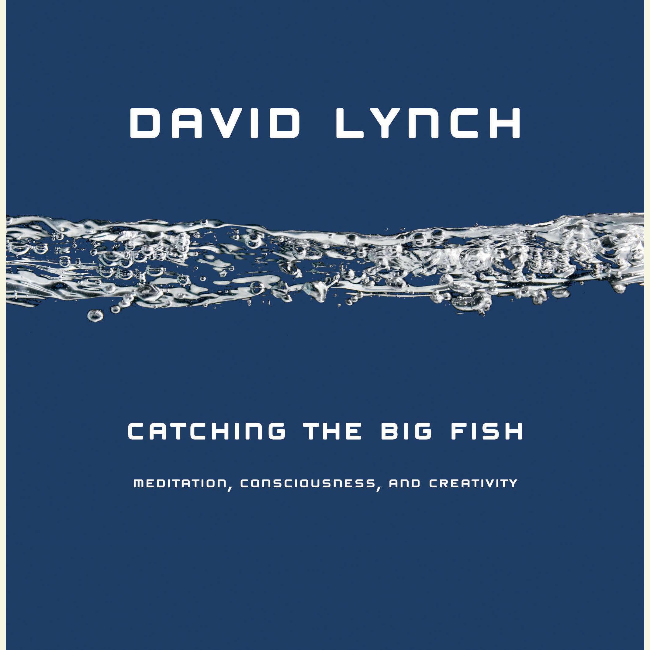 Catching the Big Fish