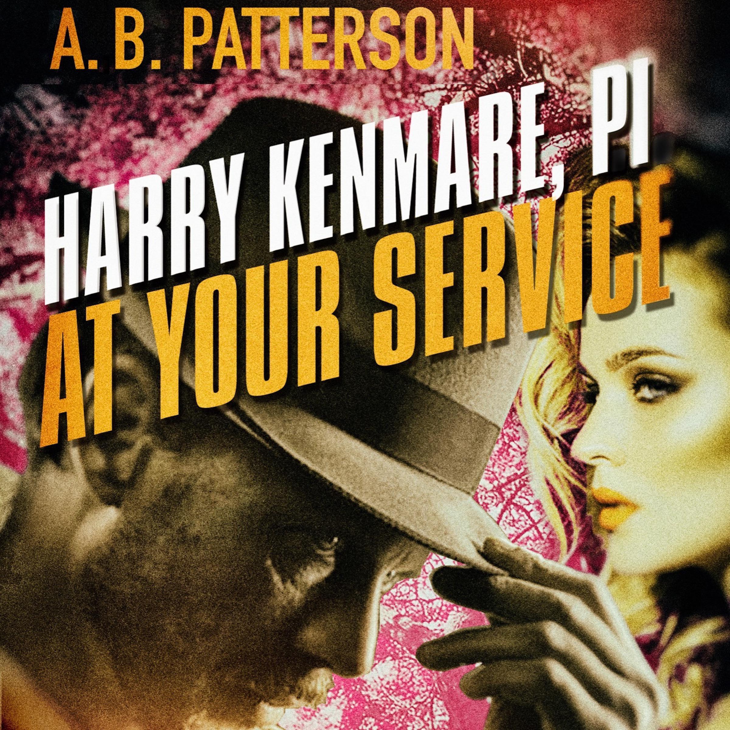 Harry Kenmare, PI - At Your Service