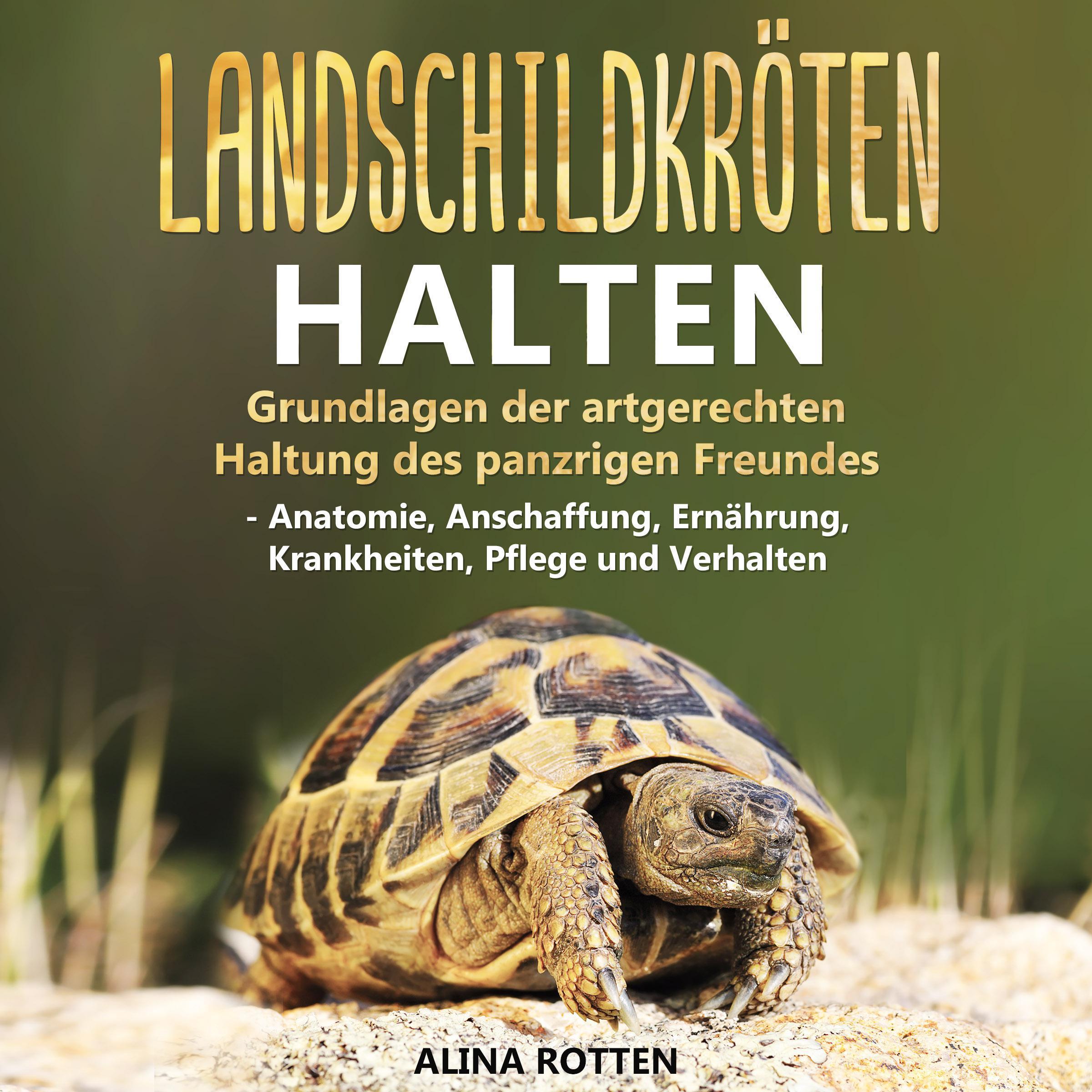 Landschildkröten halten