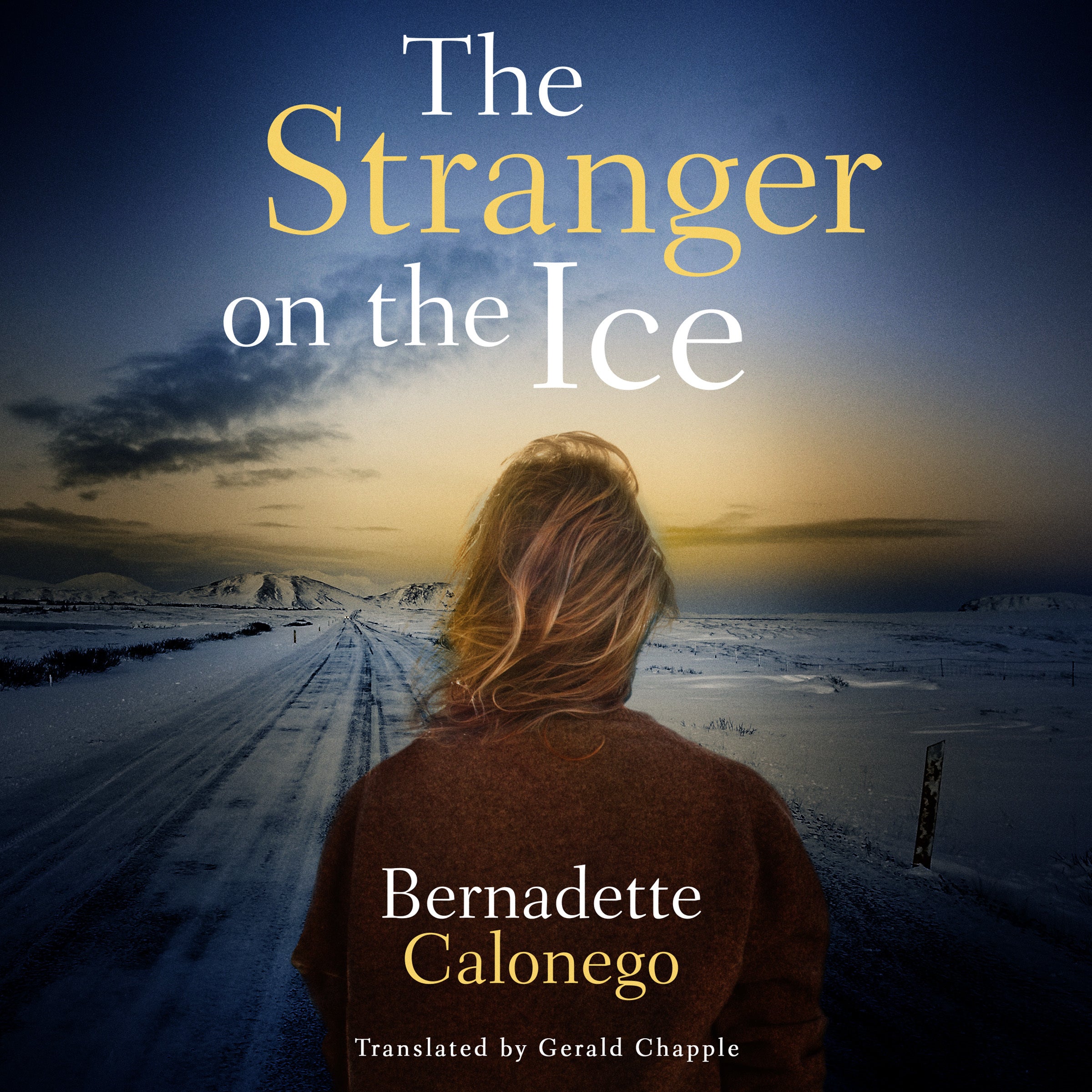The Stranger on the Ice