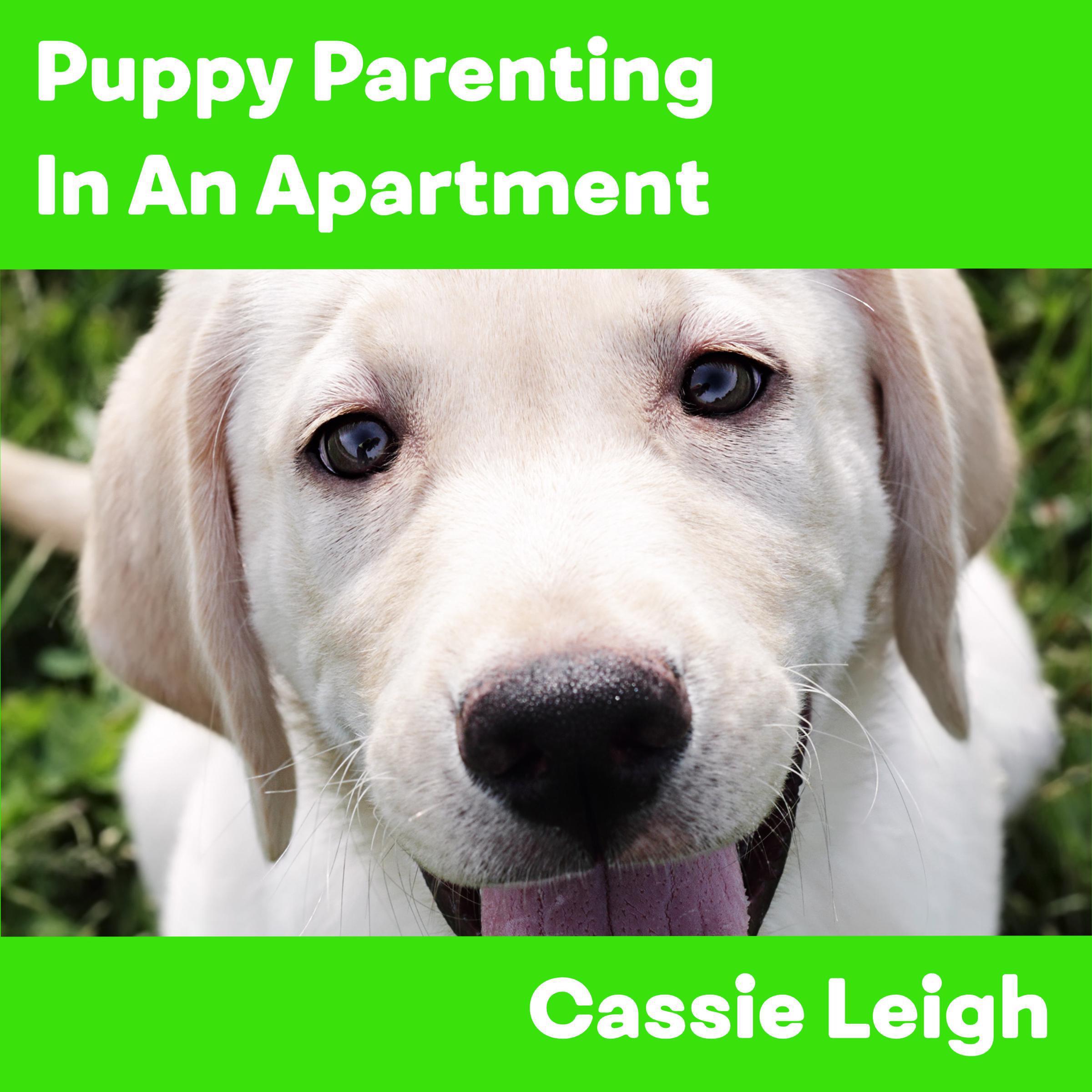 Puppy Parenting in an Apartment