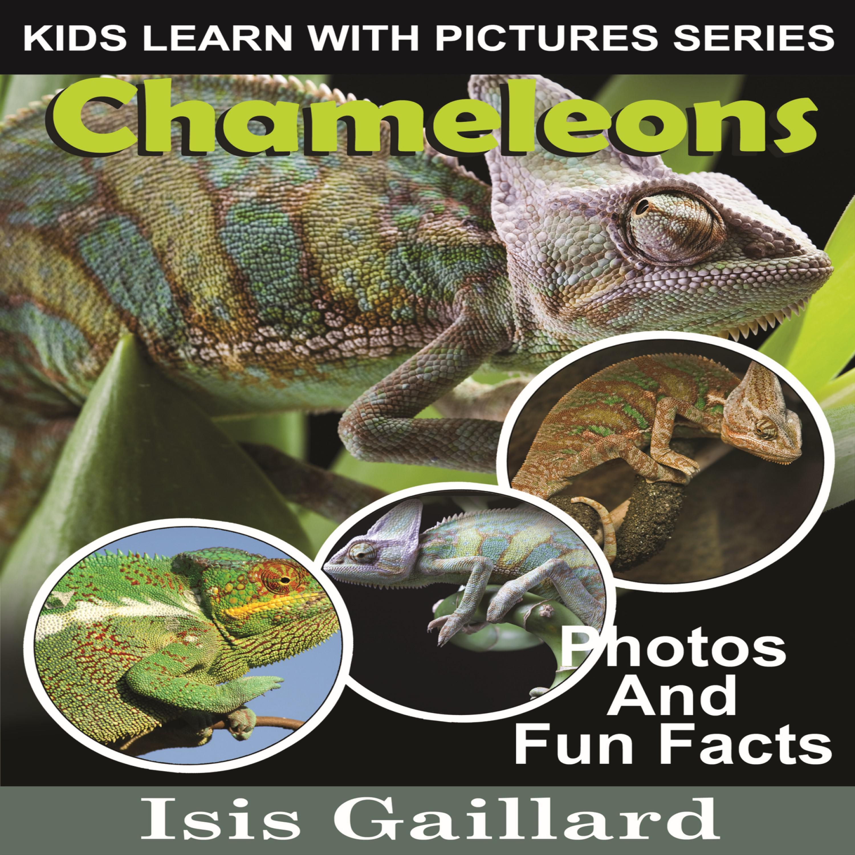 Chameleons