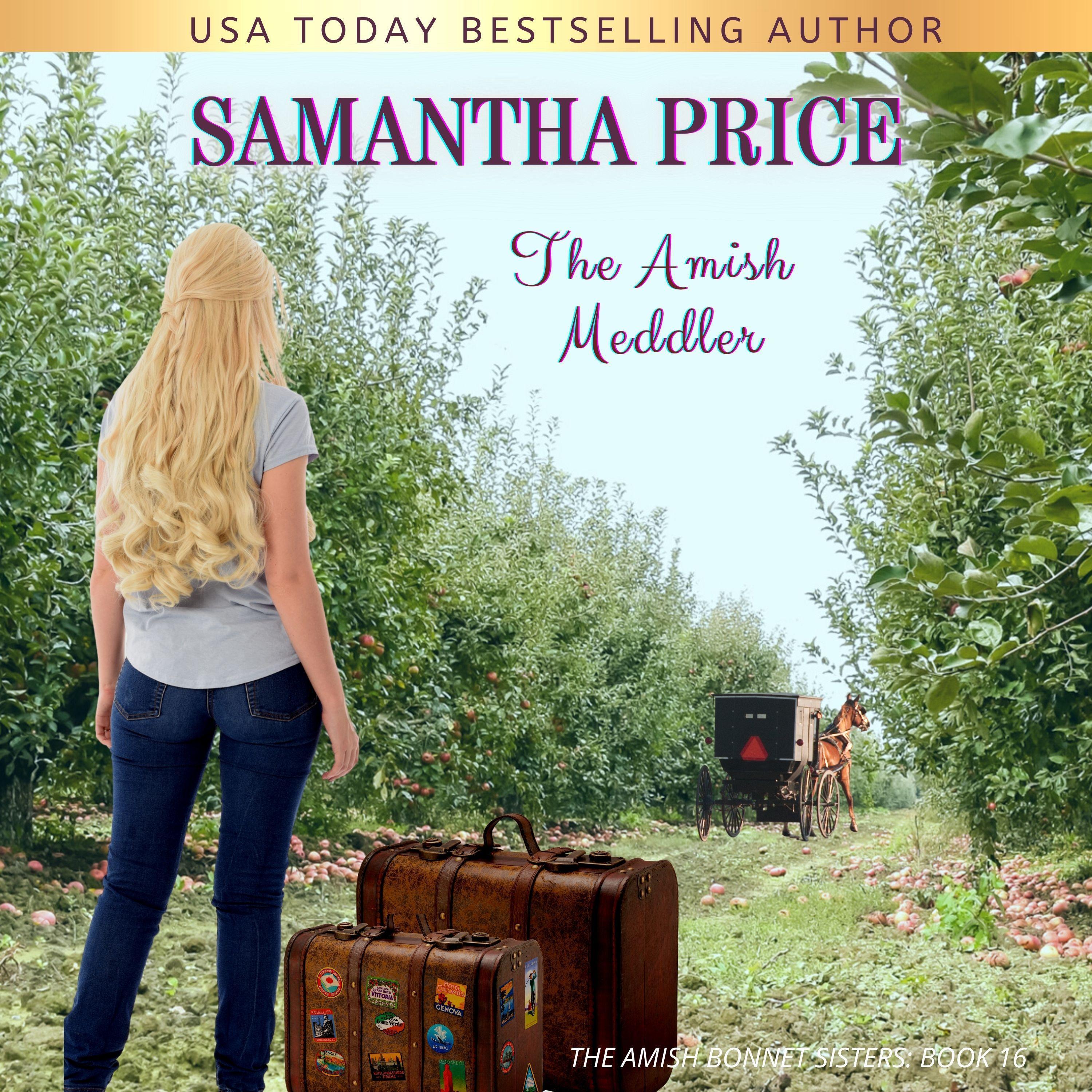 The Amish Meddler