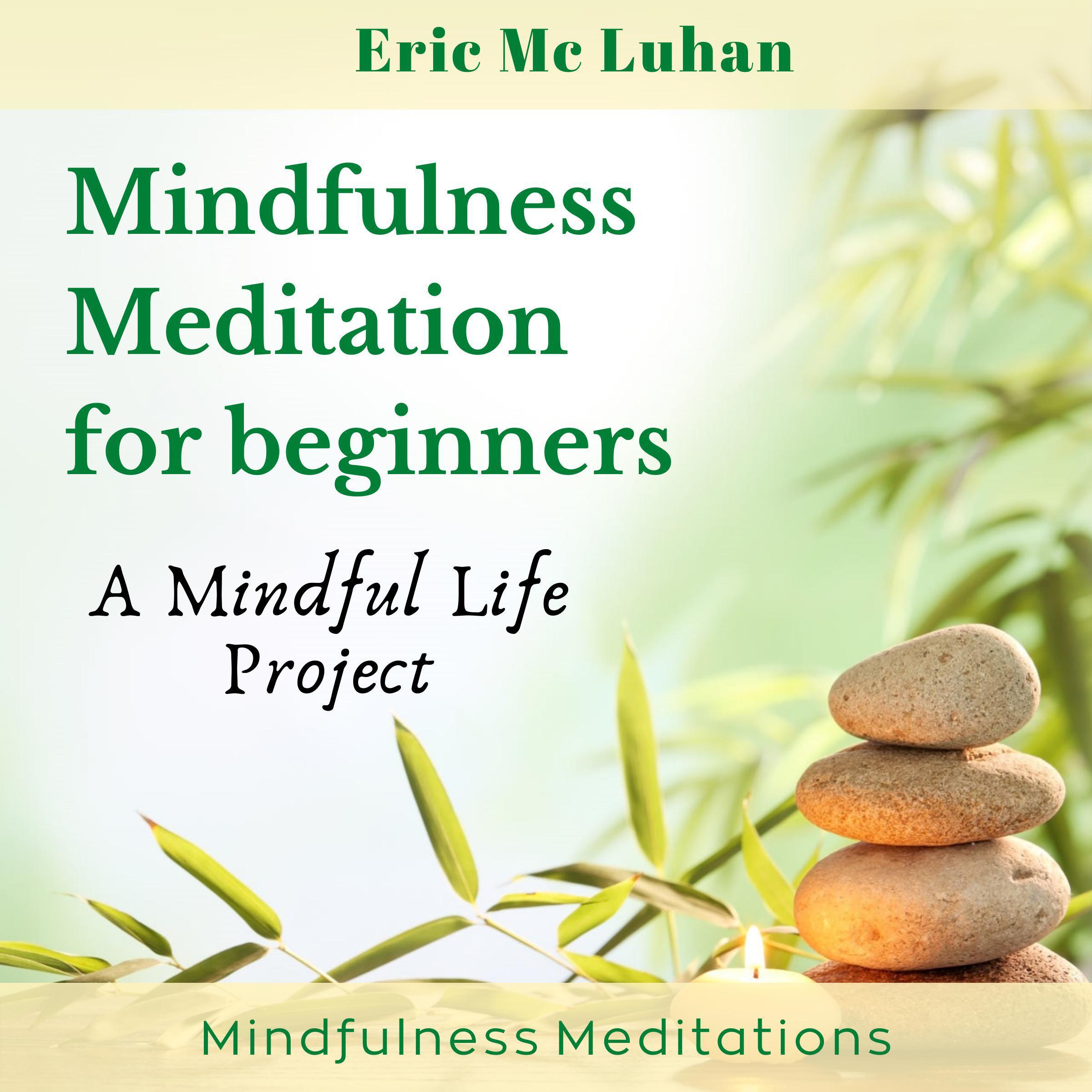 Mindful Meditation for Beginners - Mindfulness Meditation