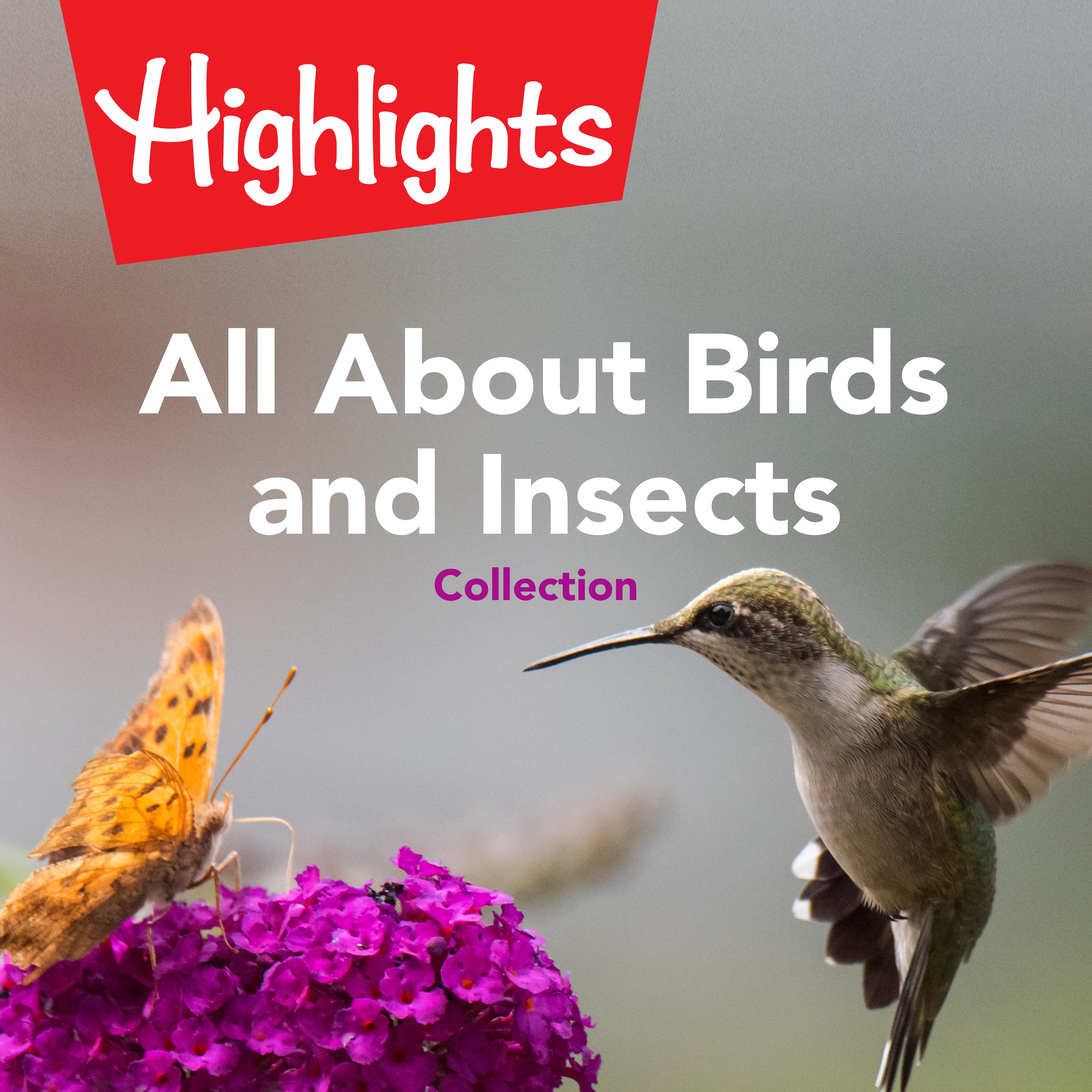 All About Birds and Insects Collection