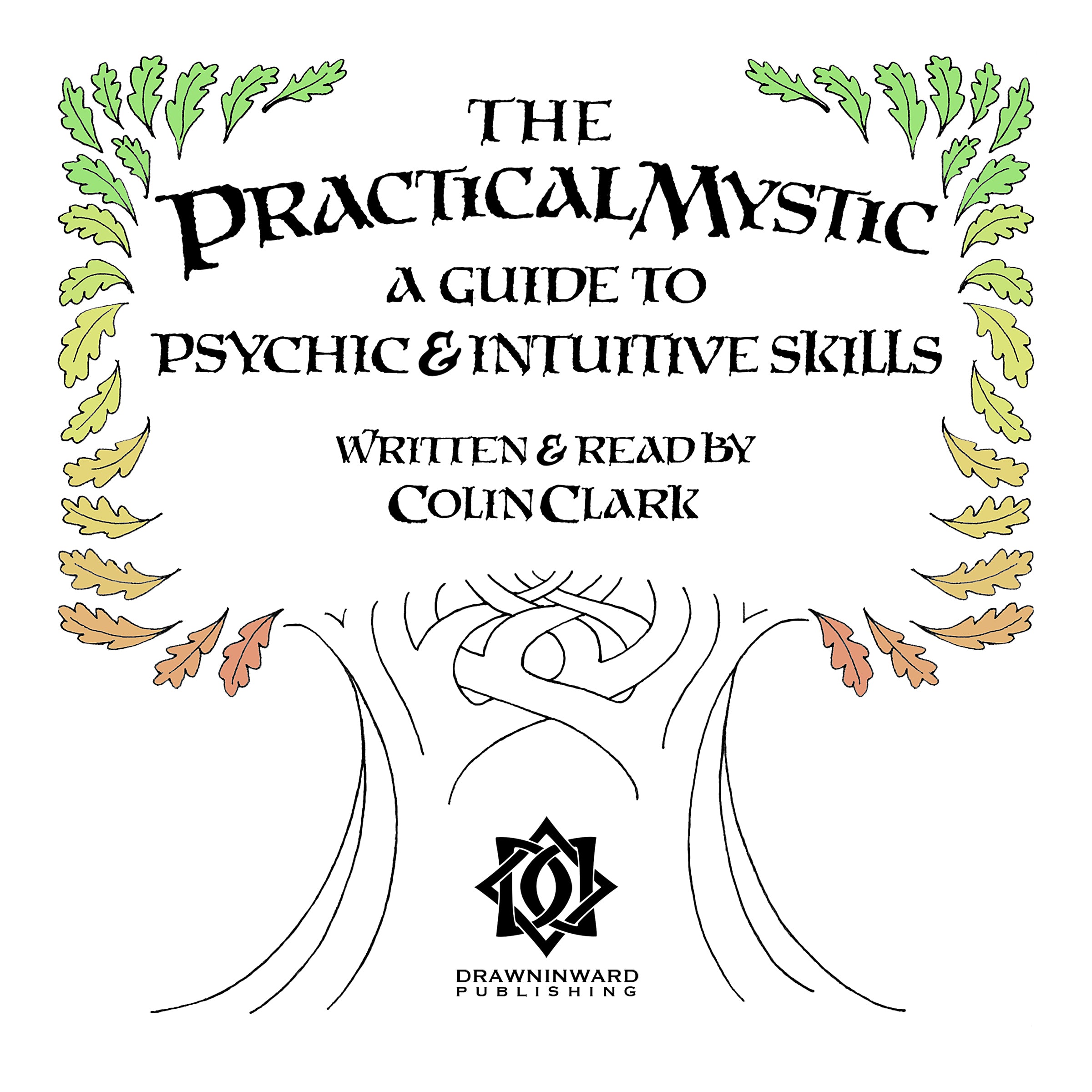 The Practical Mystic