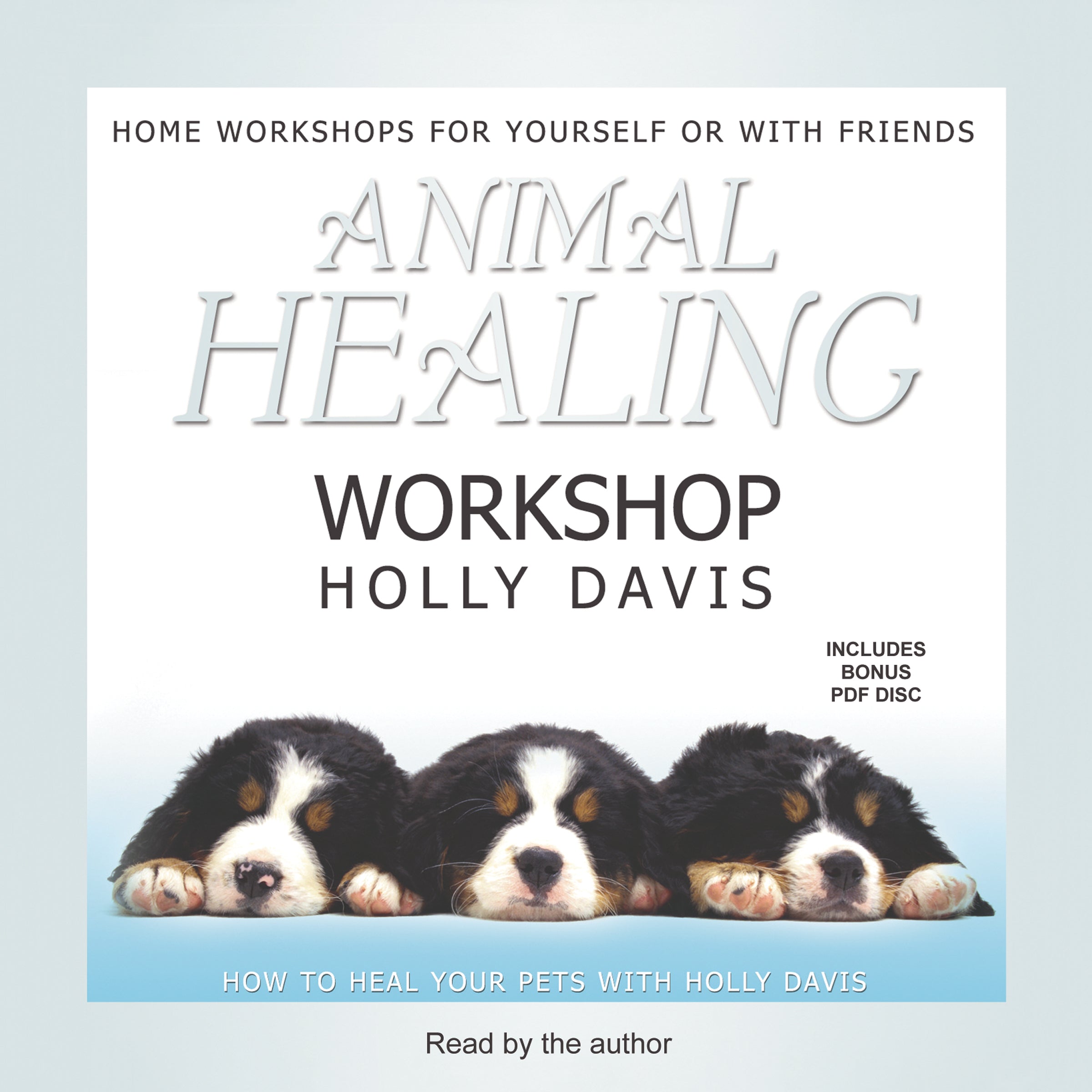 Animal Healing Workshop