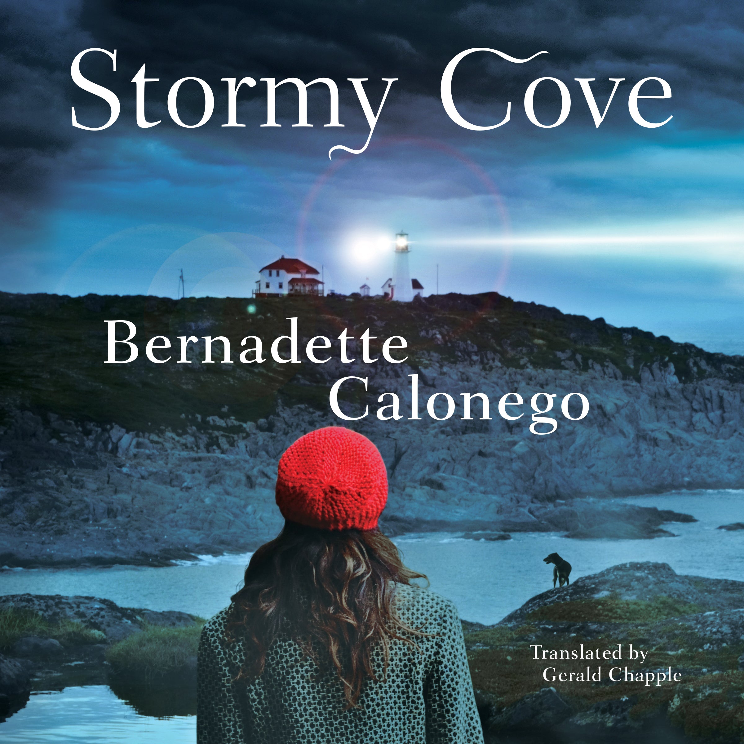 Stormy Cove