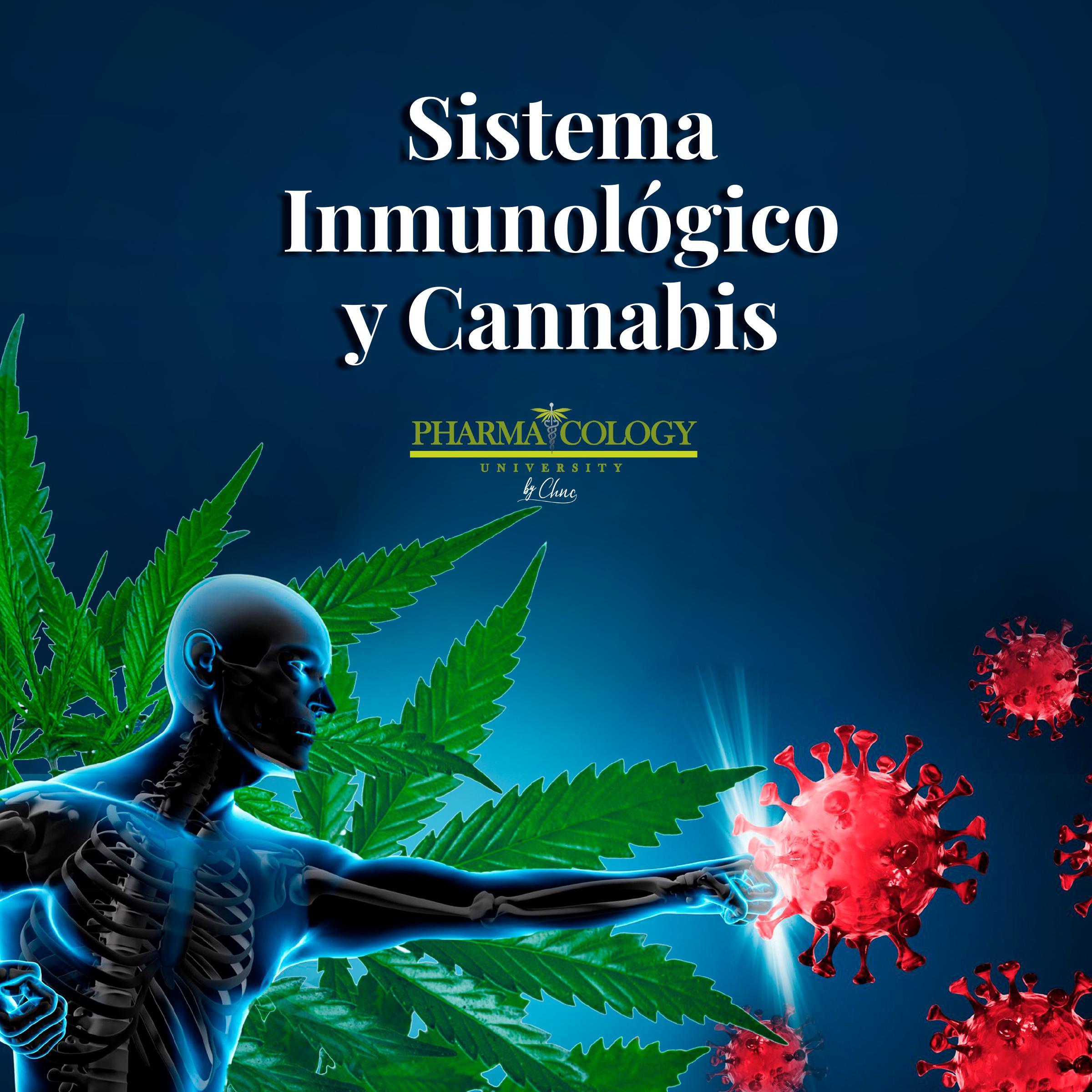 Sistema inmunológico y cannabis