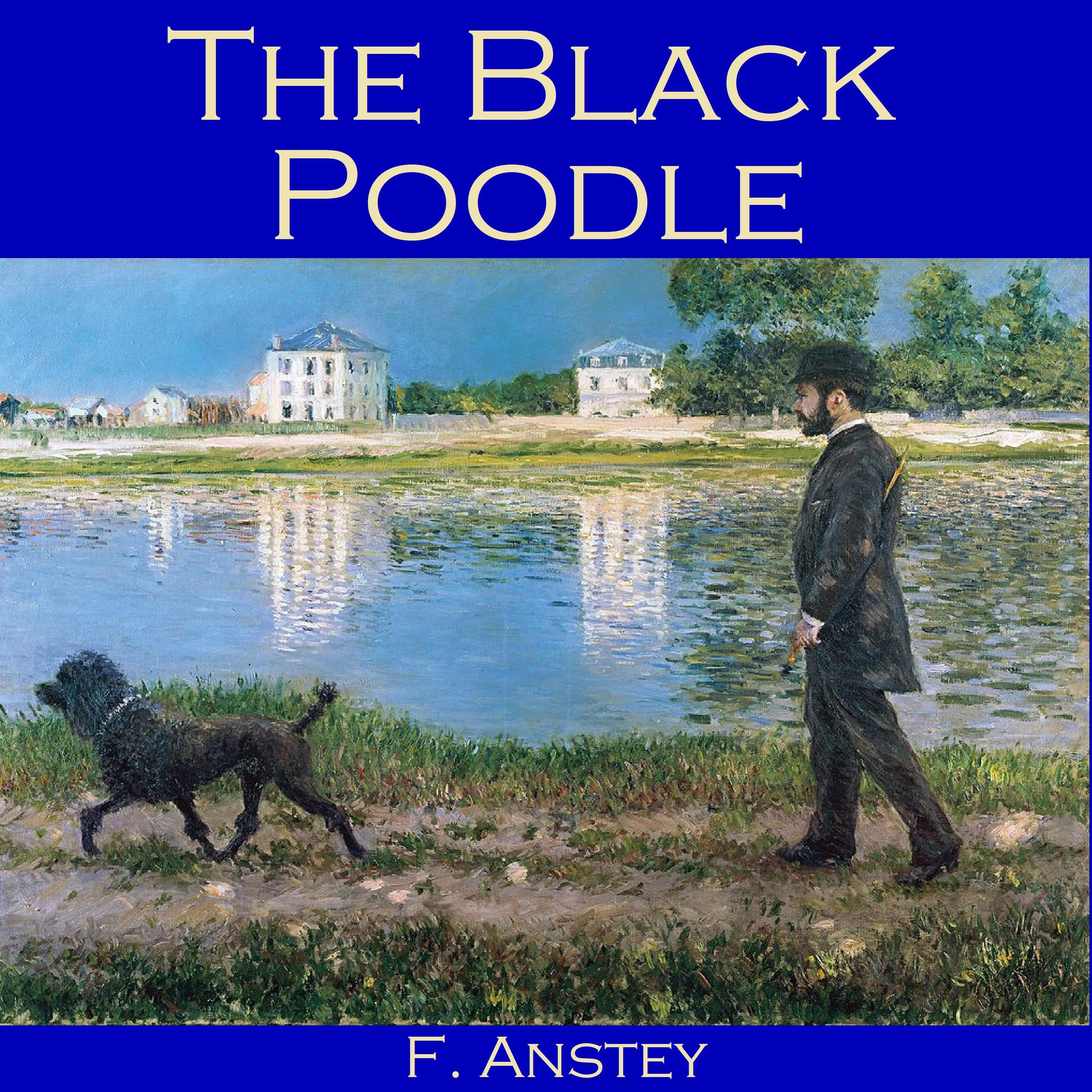 The Black Poodle