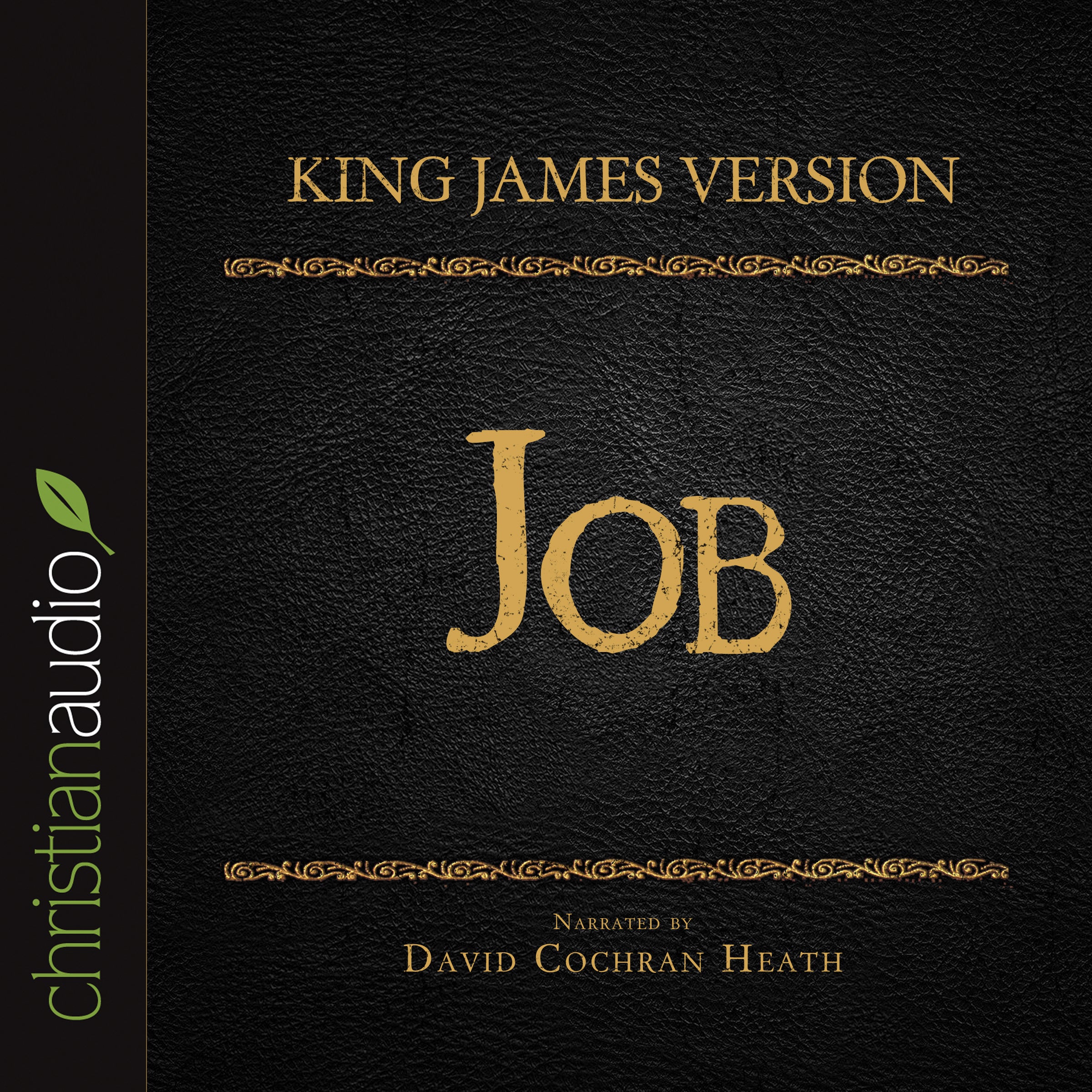 Holy Bible in Audio - King James Version: Job
