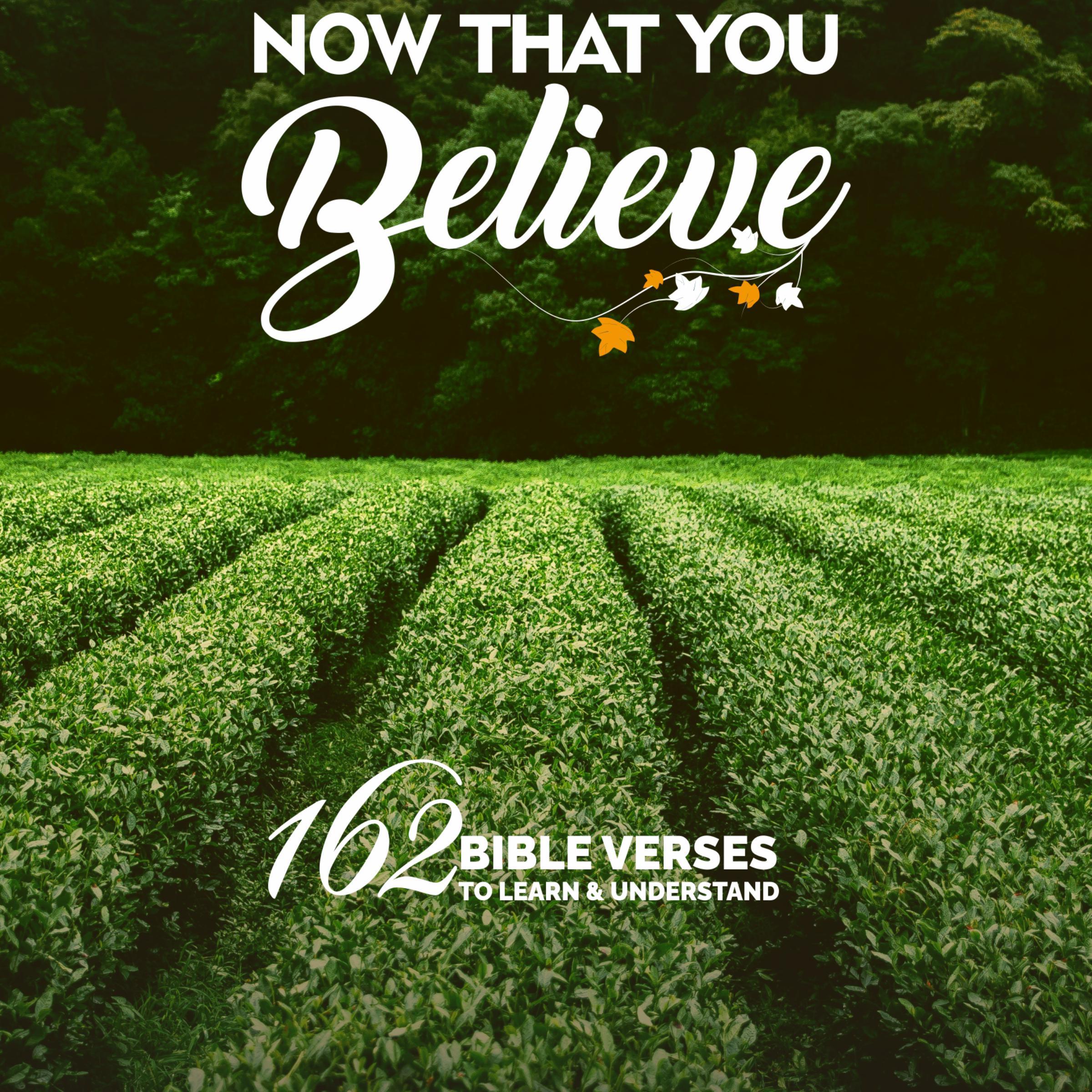 Now That You Believe