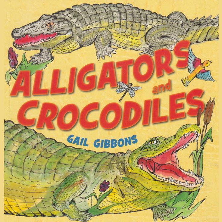 Alligators and Crocodiles