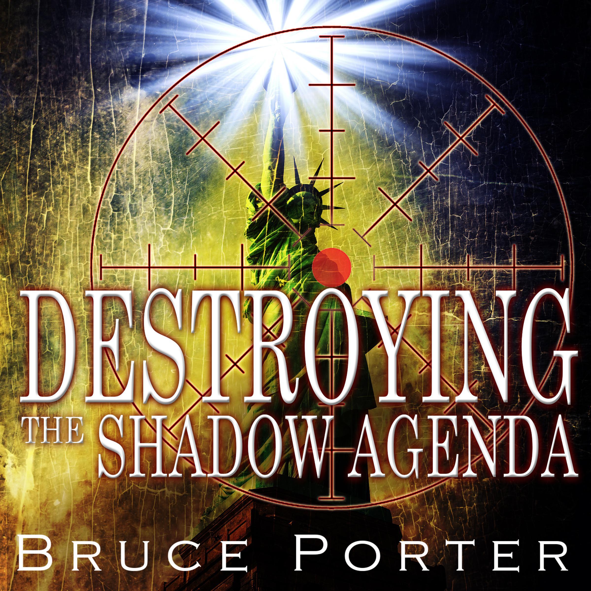 Destroying the Shadow Agenda