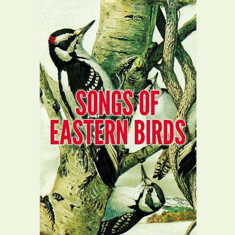 Songs of Eastern Birds