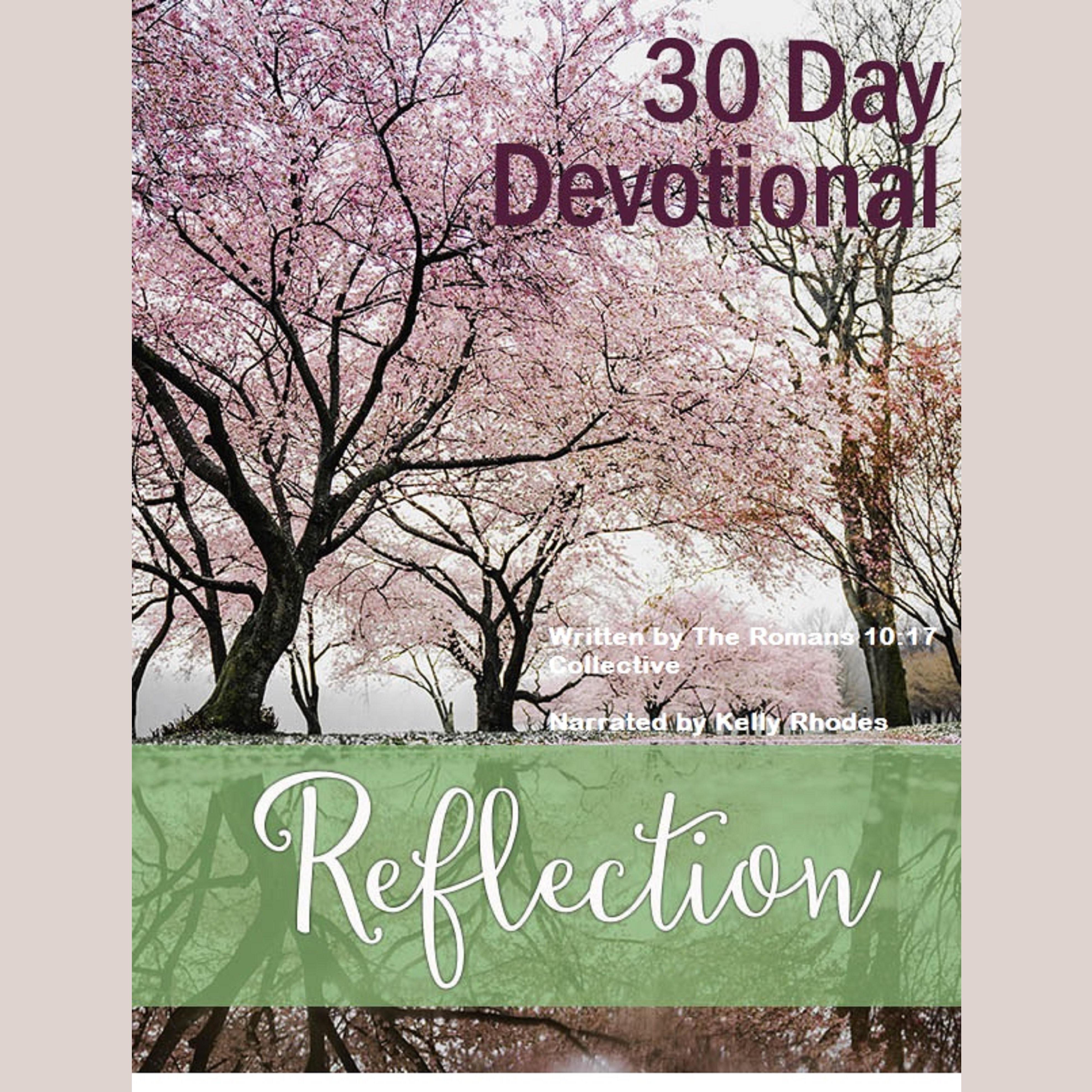 30 Day Devotional on Reflection
