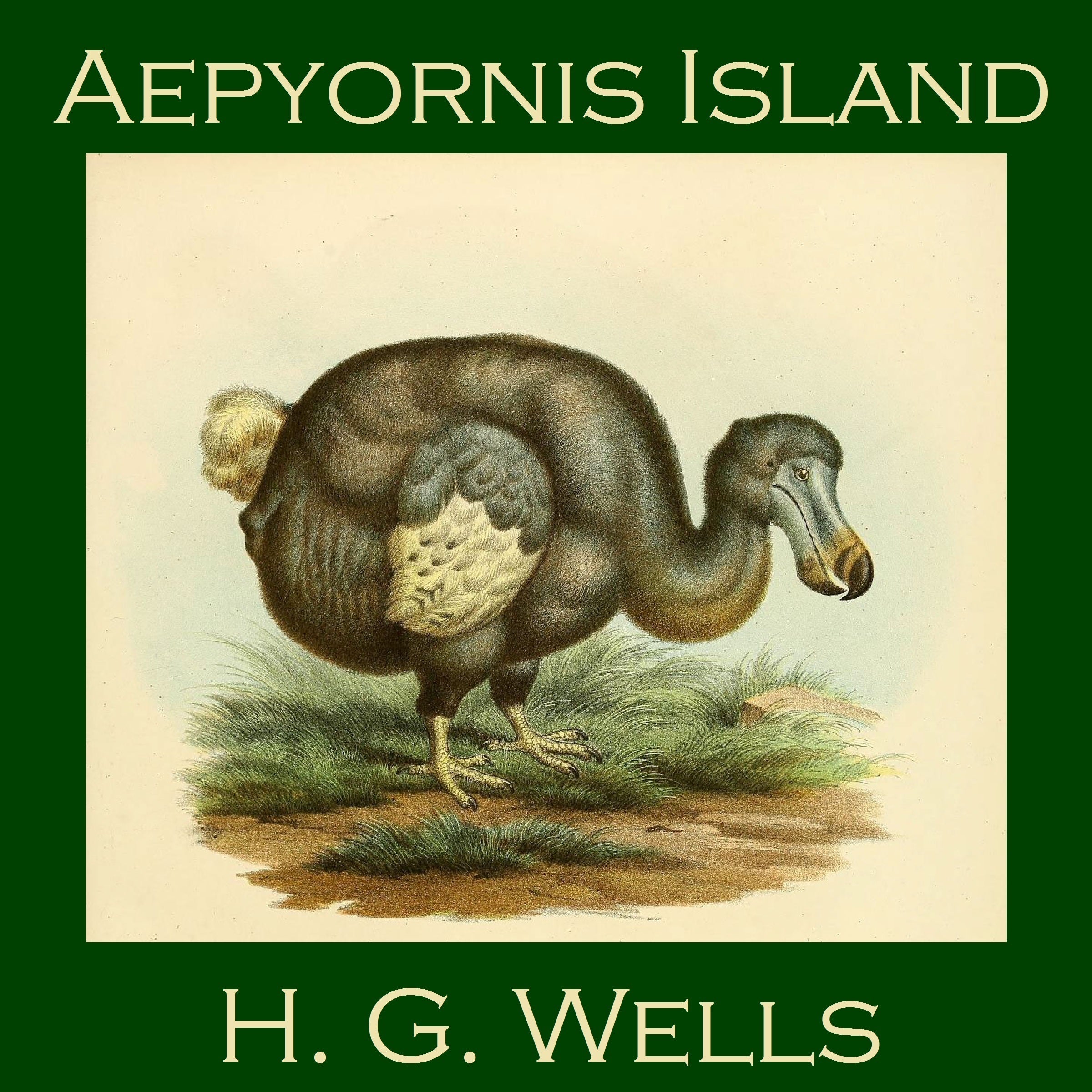 Aepyornis Island